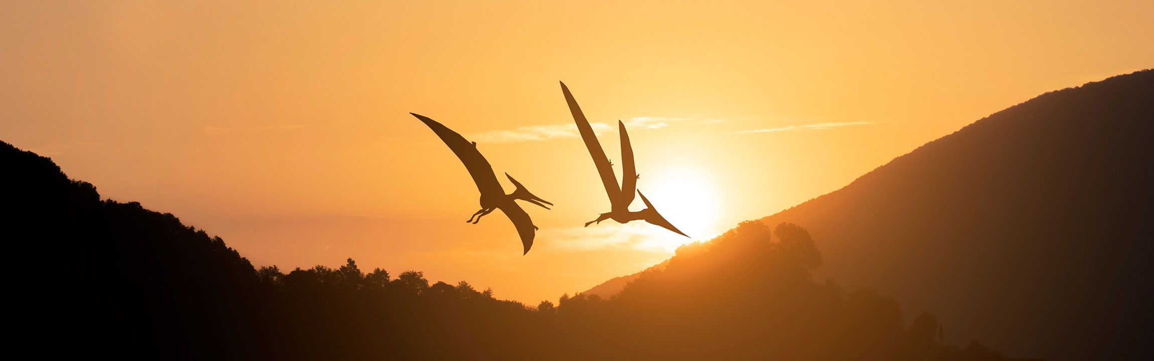 2300x720 Pterosaurs: The truth about these 'flying dinosaurs'. Natural History Museum