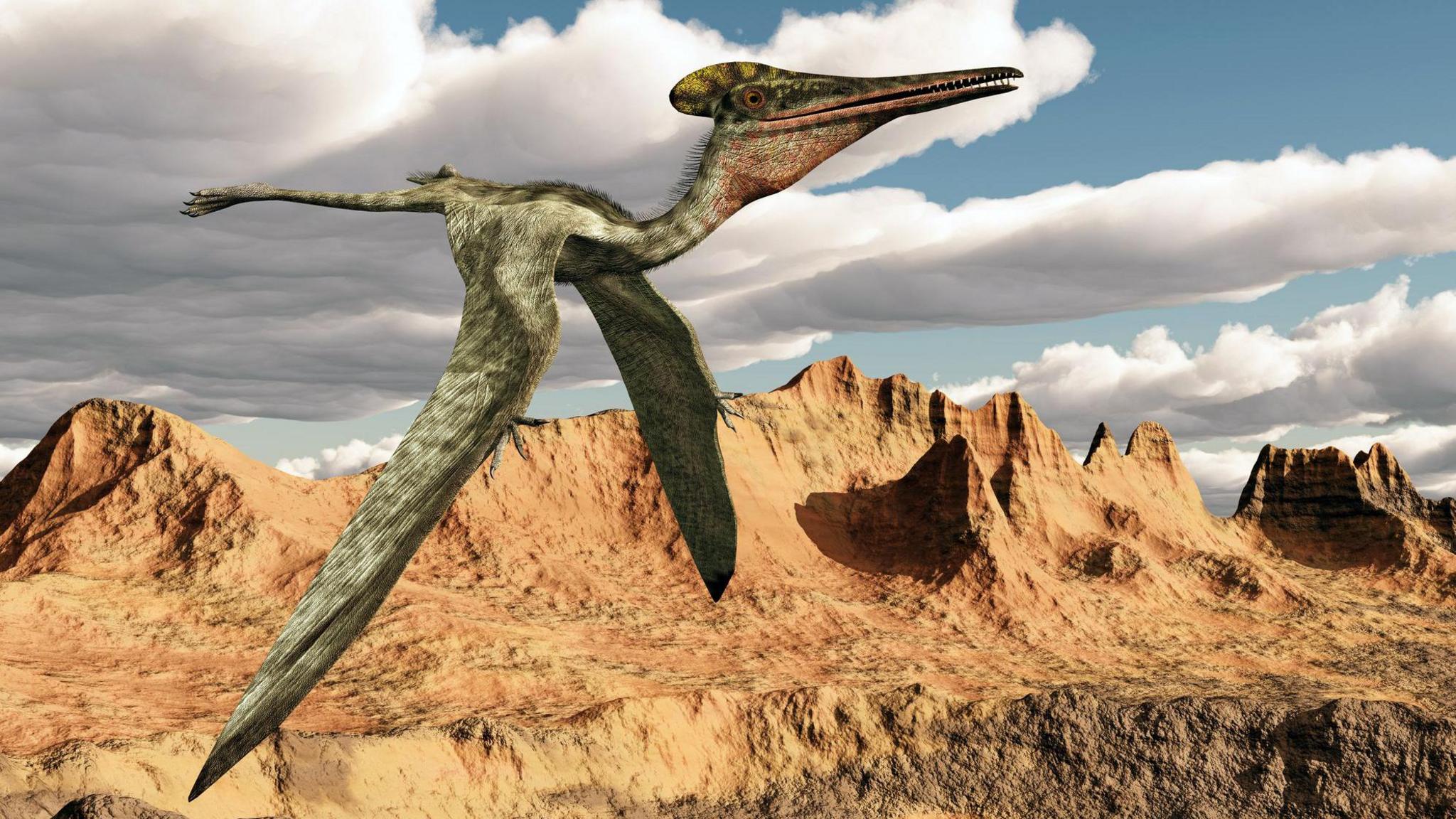 2048x1152 Mystery of how pterosaurs took to the skies finally solved