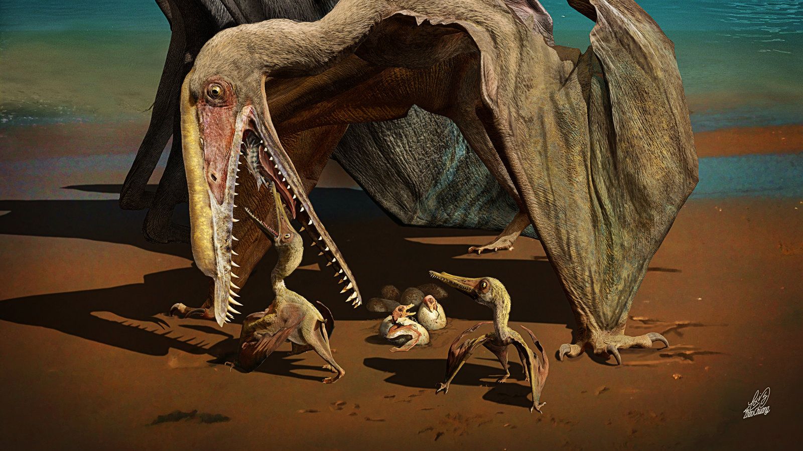 1600x900 Hundreds of Fossilized Pterosaur Eggs Uncovered in China