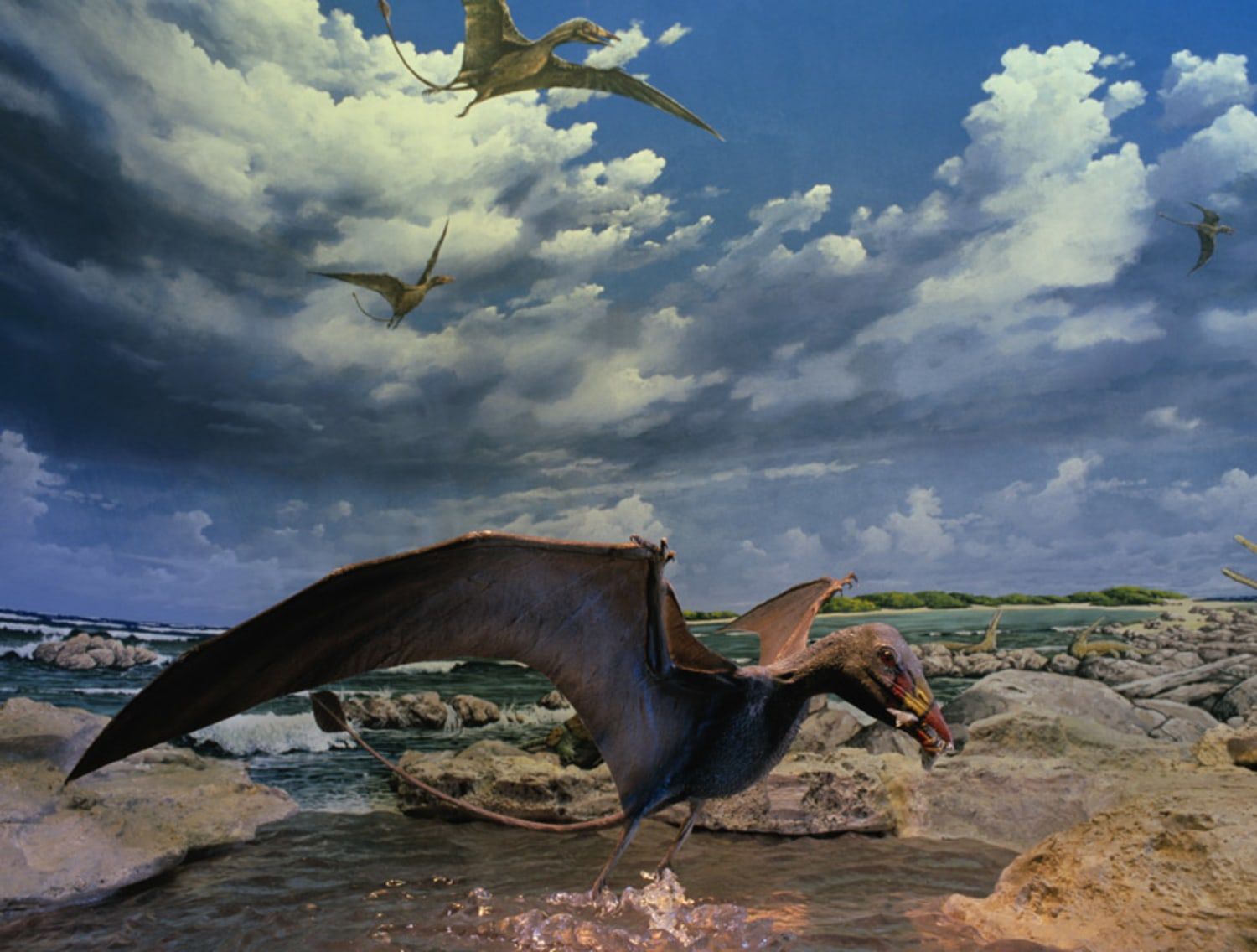 1500x1136 Pterosaurs 10 times heavier than biggest birds