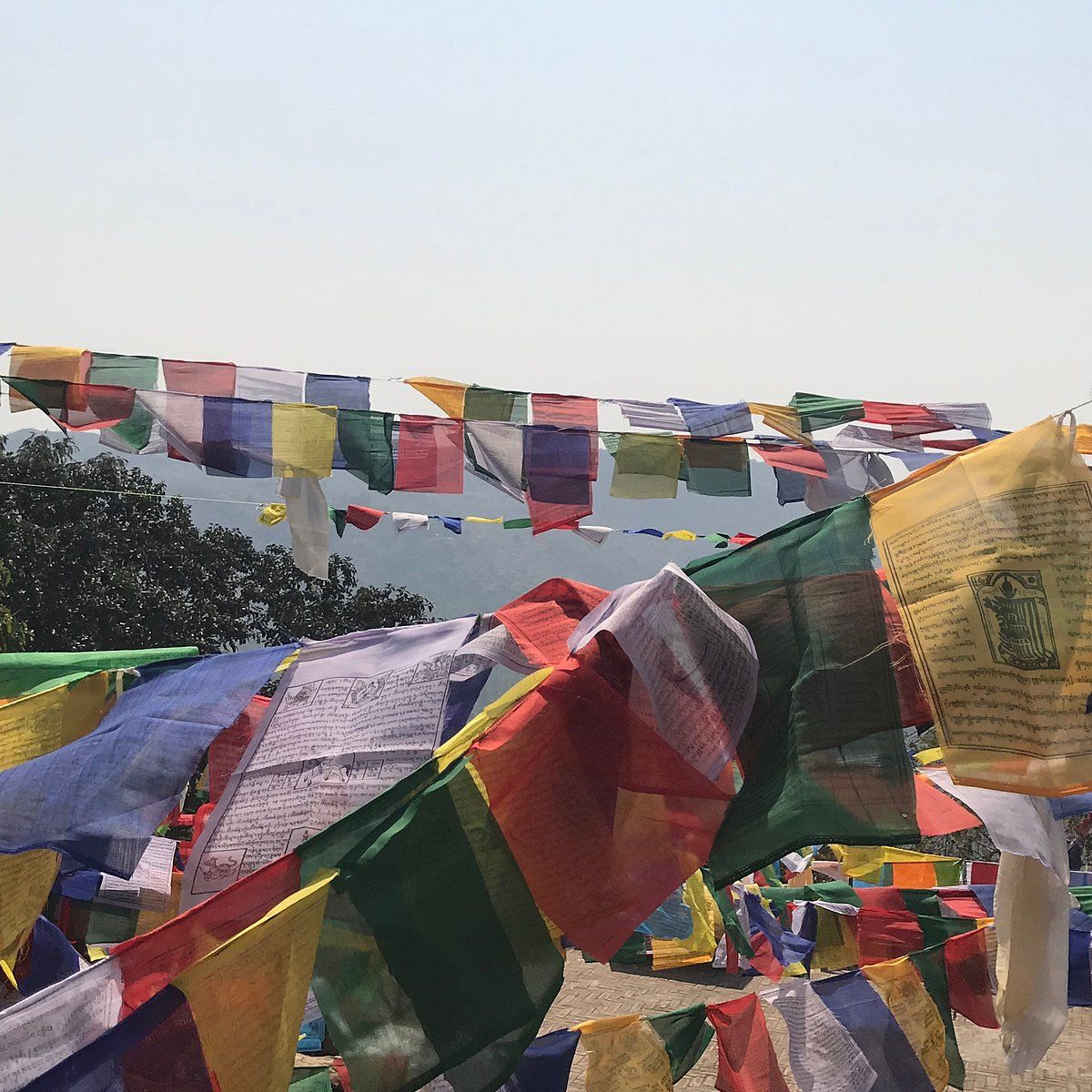 1200x1200 Rajgir Wildlife Sanctuary You SHOULD Know Before Going 2026 (with Reviews)