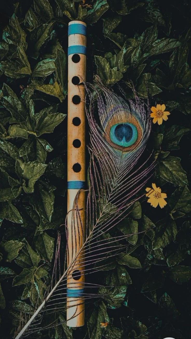 736x1306 Flute and peacock feather