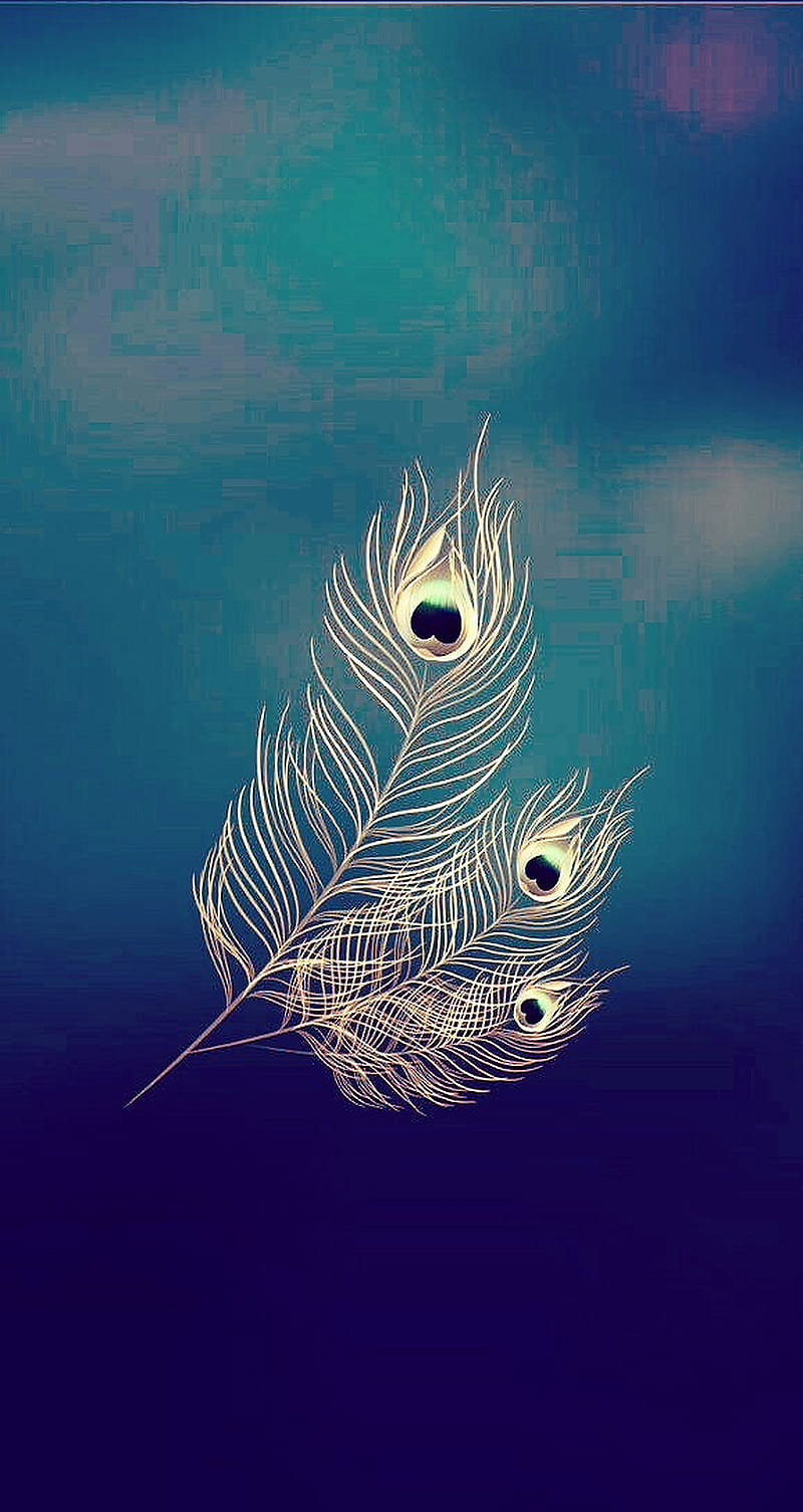 800x1505 Peacock feather, HD phone wallpaper