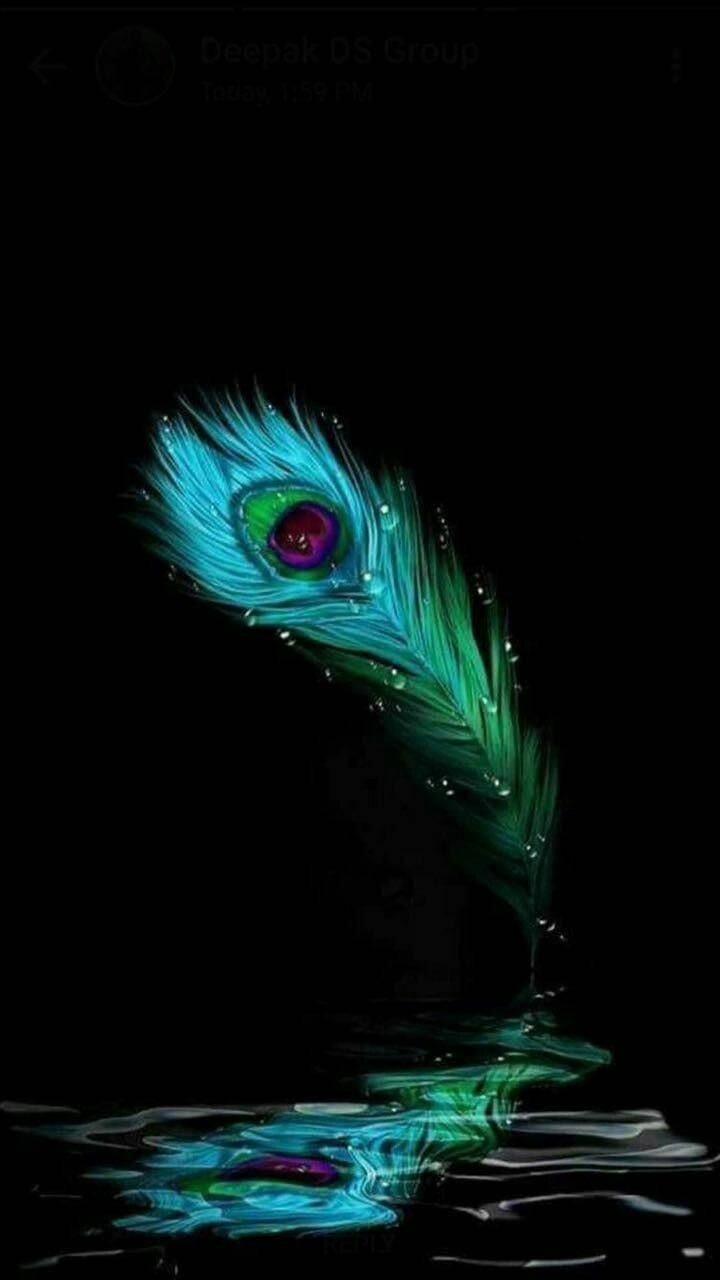 720x1280 Krishna iPhone Peacock Feather Reflection