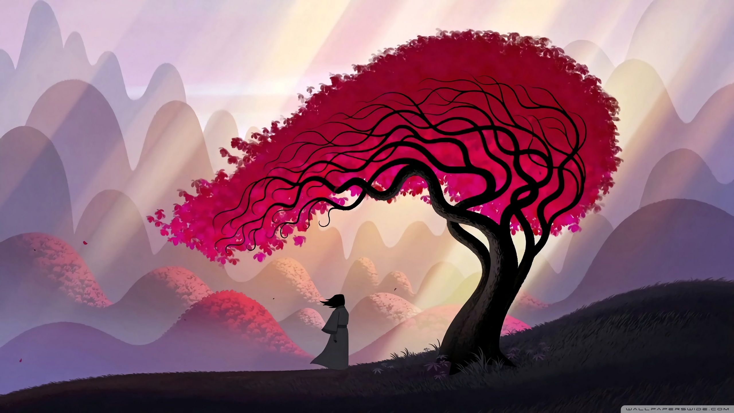 2560x1440 Samurai, Red Tree, Autumn 4K UHD Wallpaper for UltraHD Desktop and TV : Widescreen and UltraWide Display : Smartphone and Tablet Devices