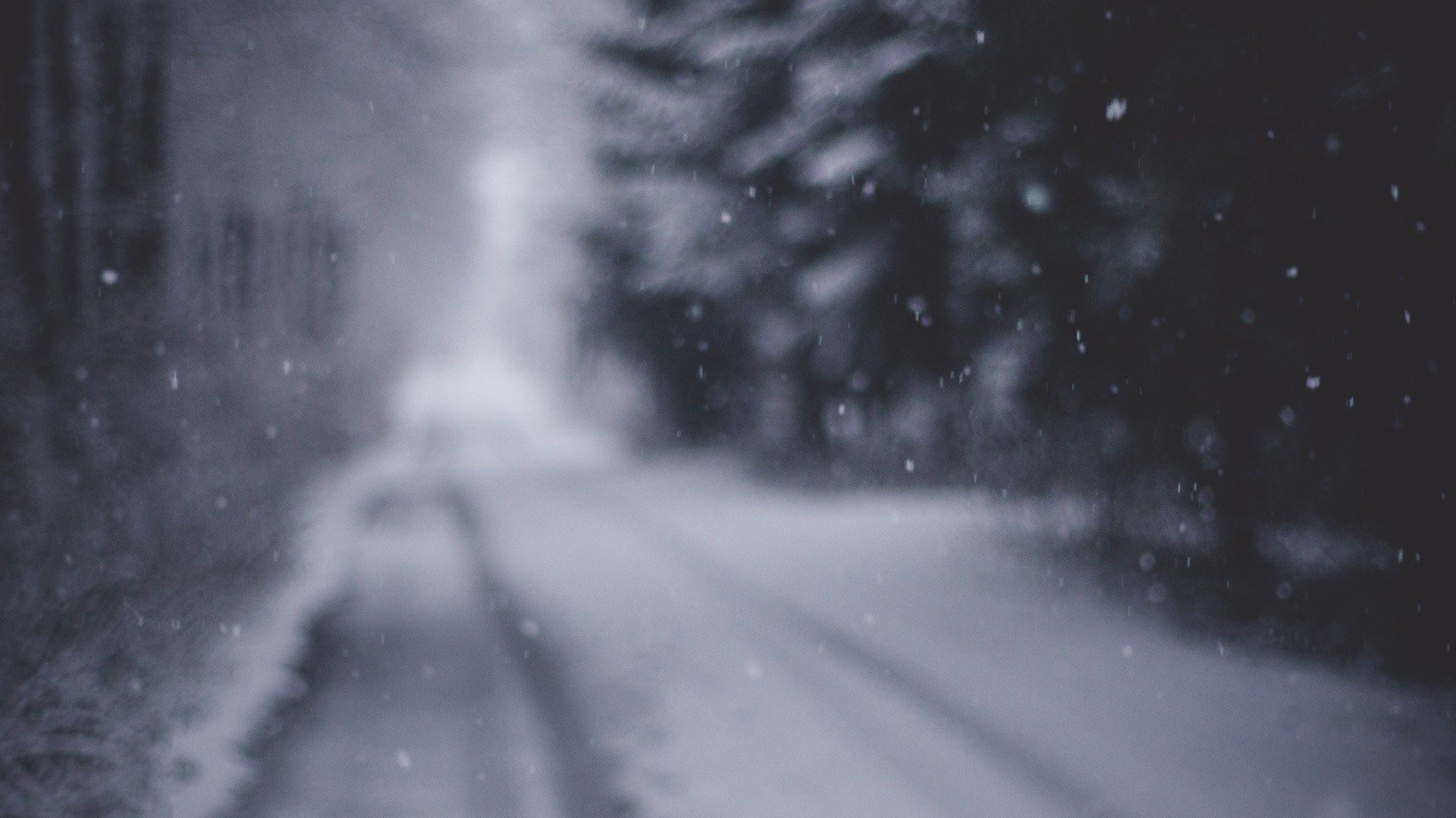 1920x1080 Free Out Of Focus 4K Wallpaper & Desktop HD Background for PC