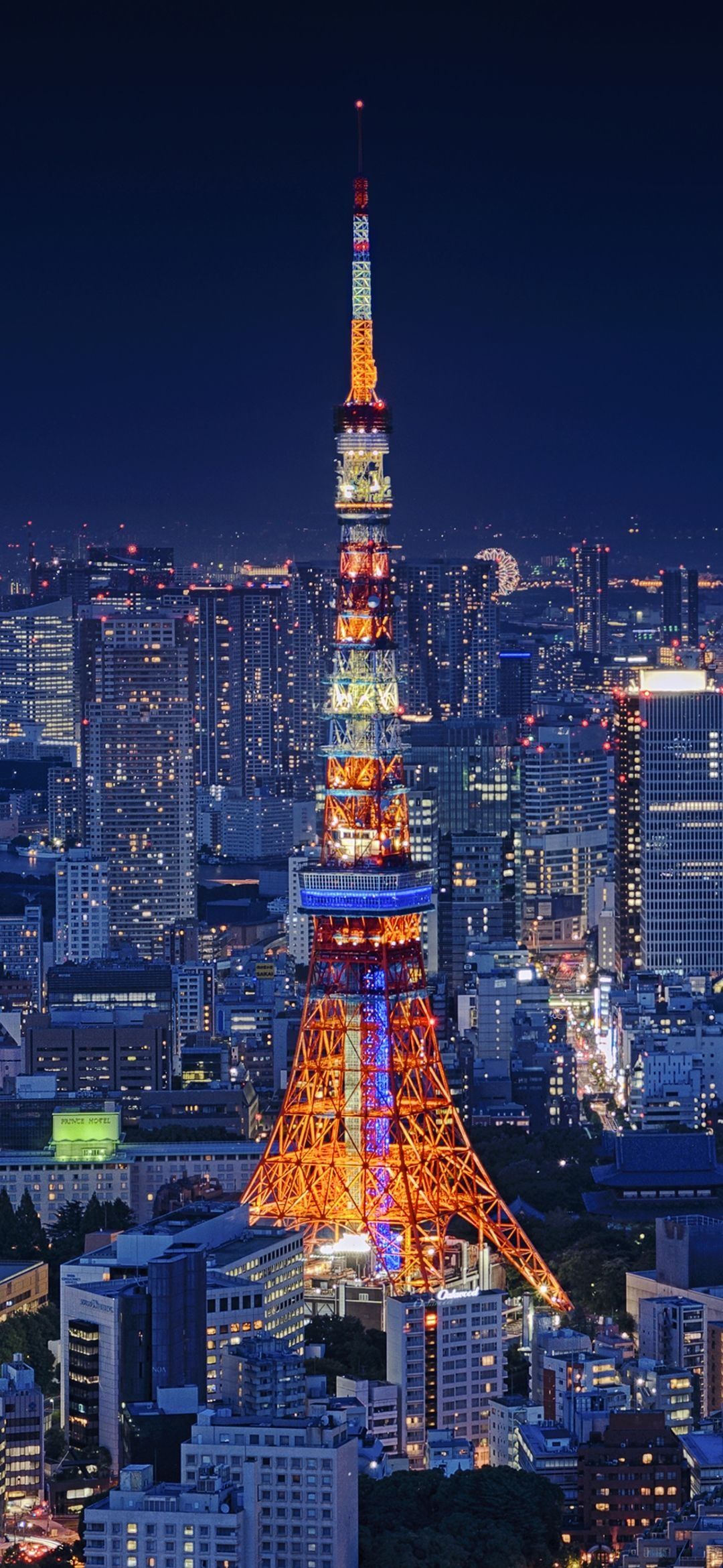 1080x2340 Japan Skyline Wallpaper