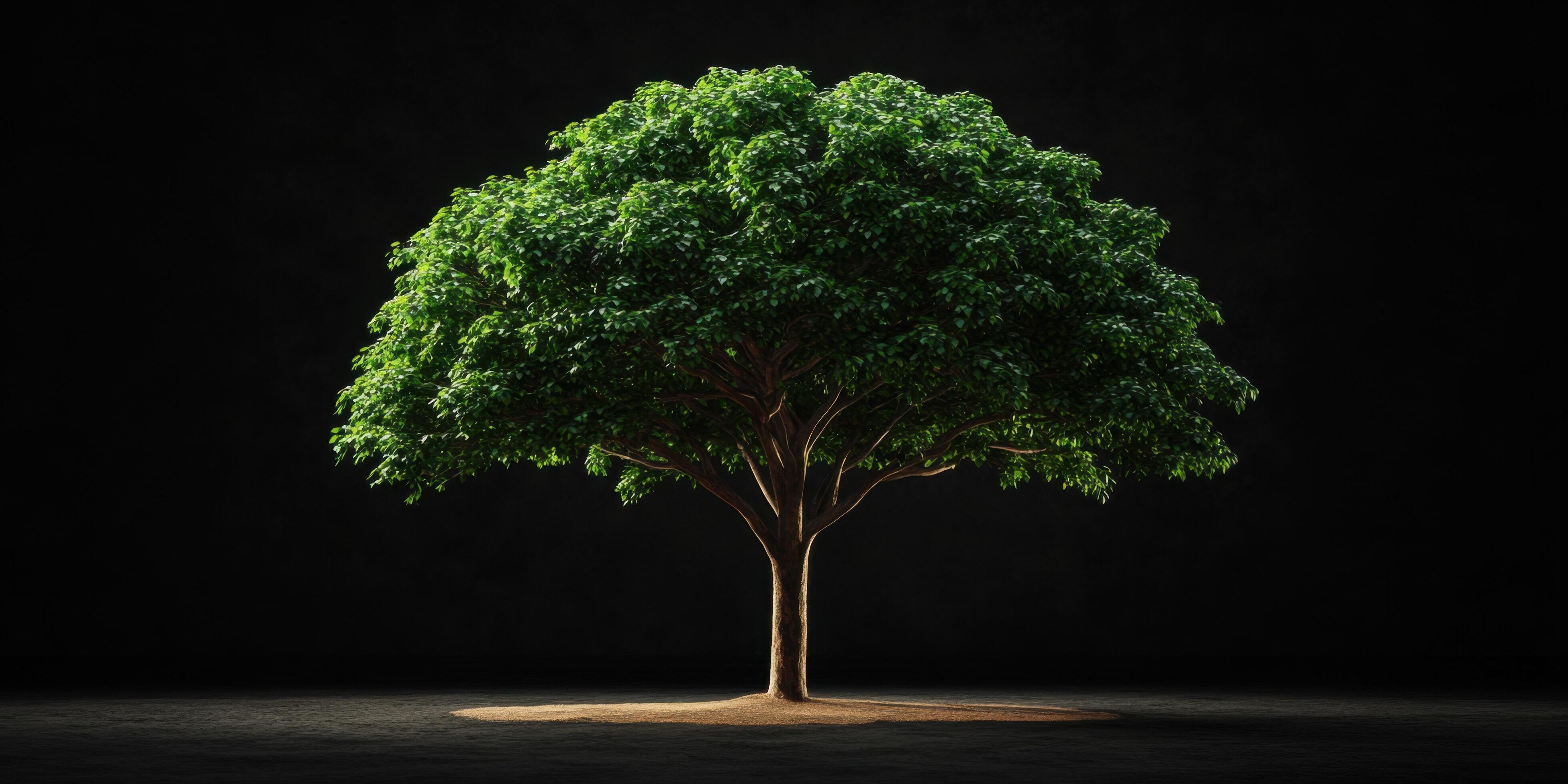 3920x1960 Lush Green Tree in Dark Background A Symbol of Life and Nature's Resilience
