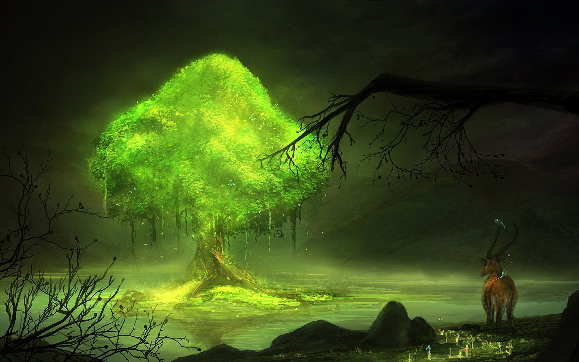 1920x1200 Enchanted Forest Glow HD Wallpaper