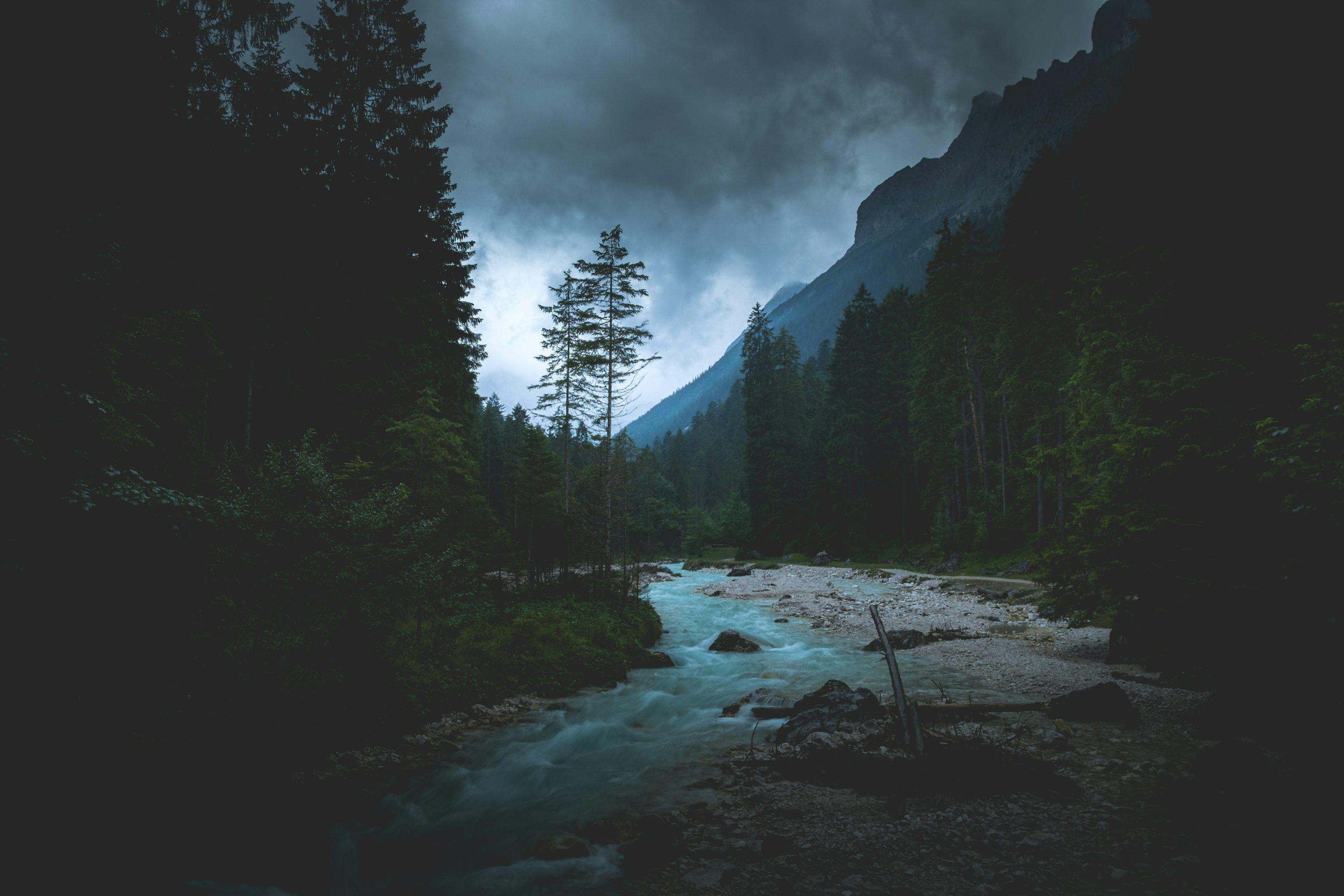 3000x2000 Dark Green Wallpaper Picture. Download Free Image