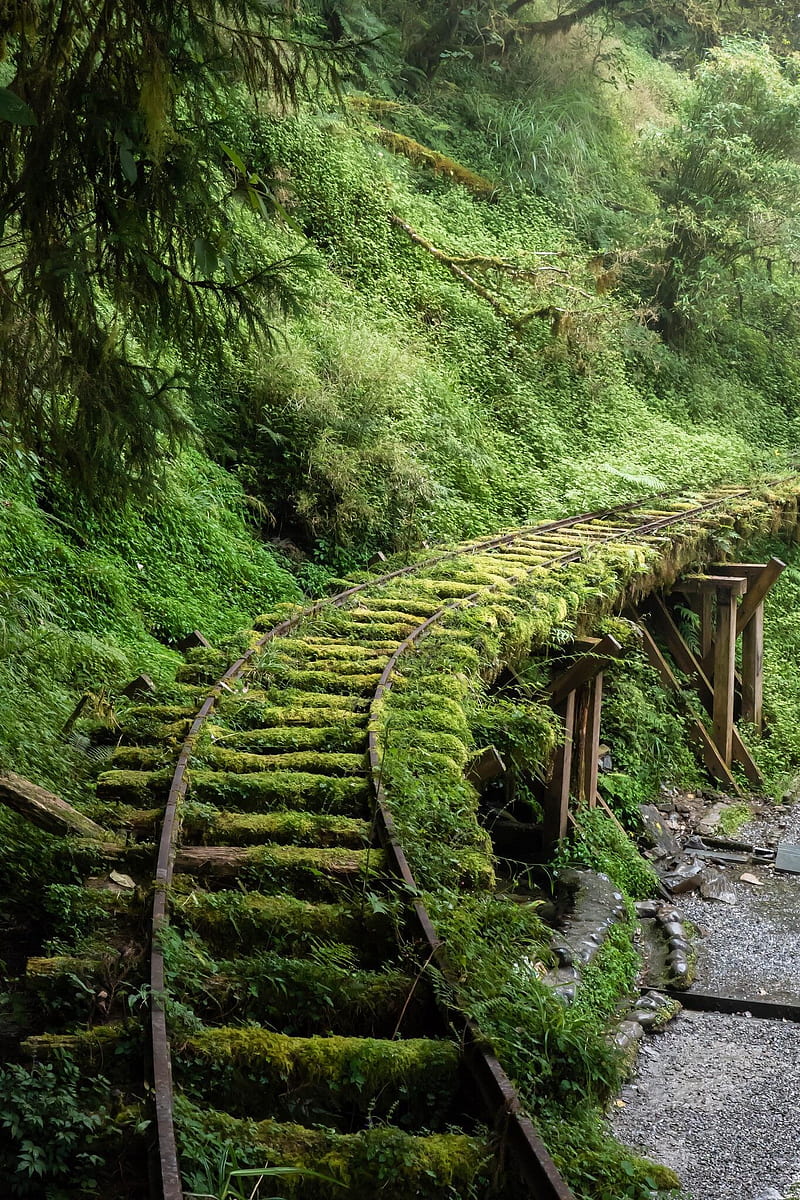 800x1200 HD abandoned track wallpaper