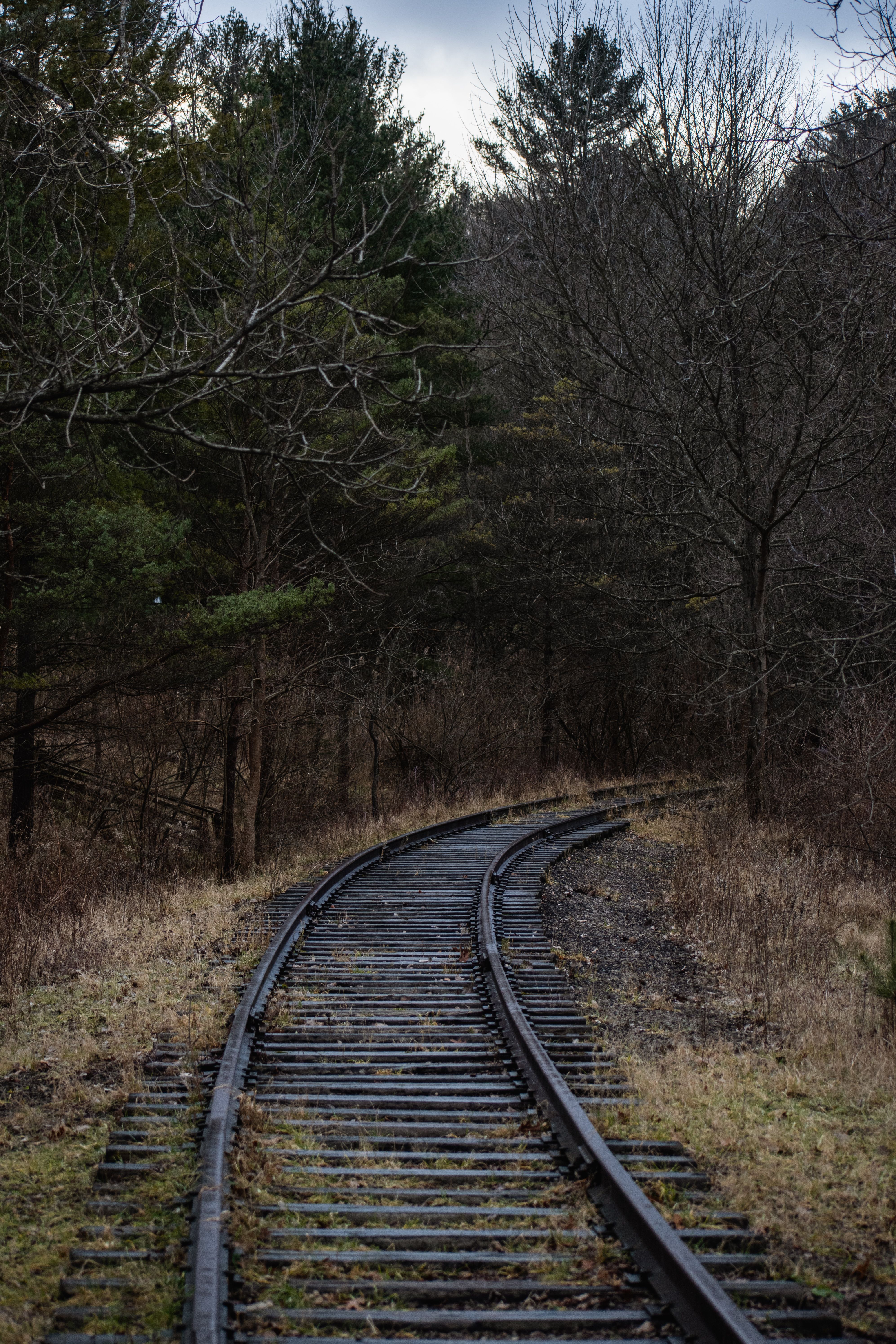 3988x5981 Abandoned Track Photo, Download The BEST Free Abandoned Track & HD Image