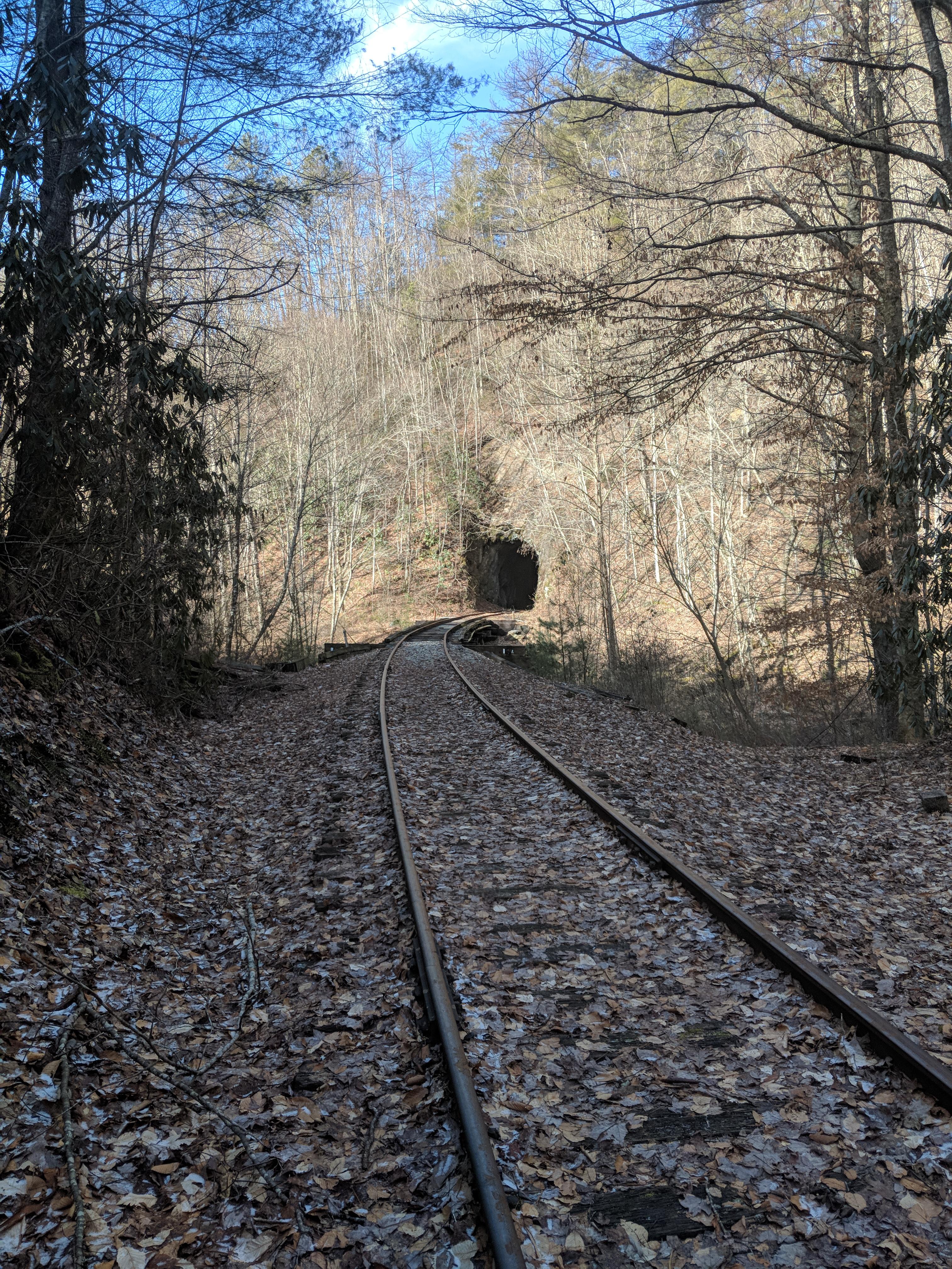 3024x4032 Abandoned Train Tracks- Andrews, NC [OC] [3024x4032]