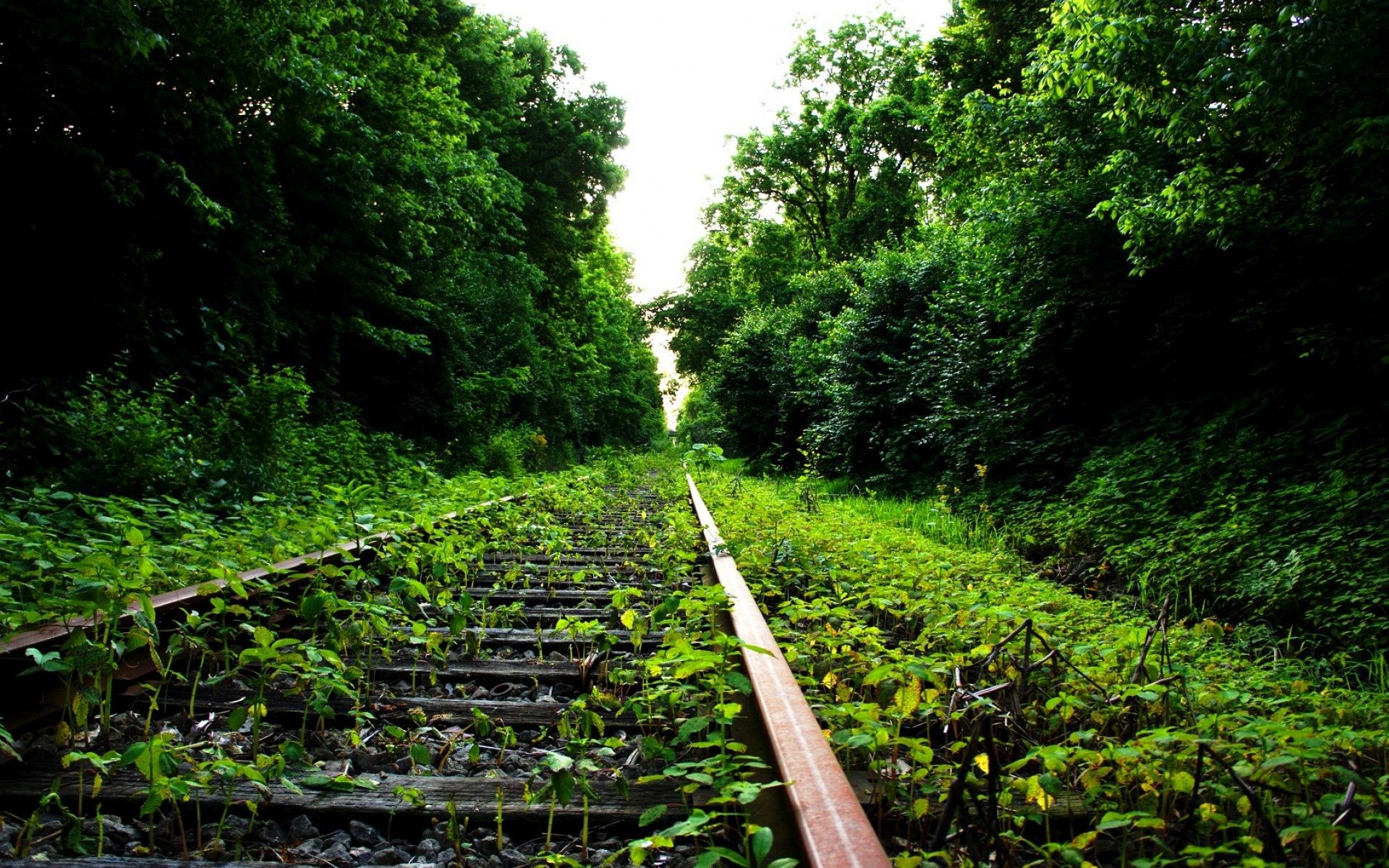 1920x1200 nature, Railway, Abandoned Wallpaper HD / Desktop and Mobile Background