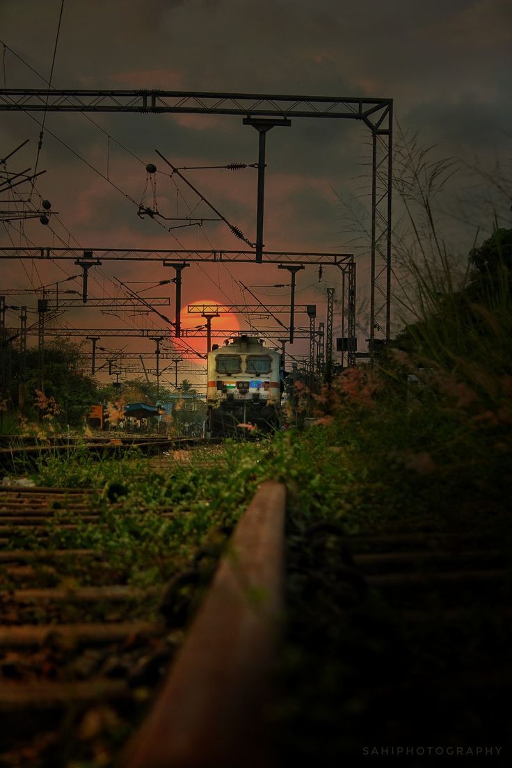 736x1104 Train