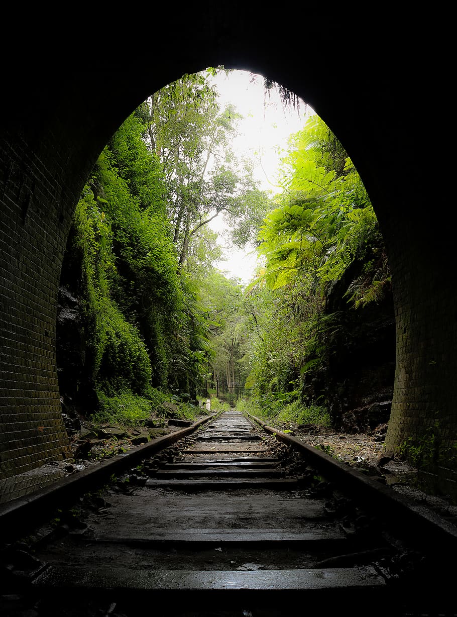 910x1228 Overgrown tracks 1080P, 2K, 4K, 5K HD wallpaper free download