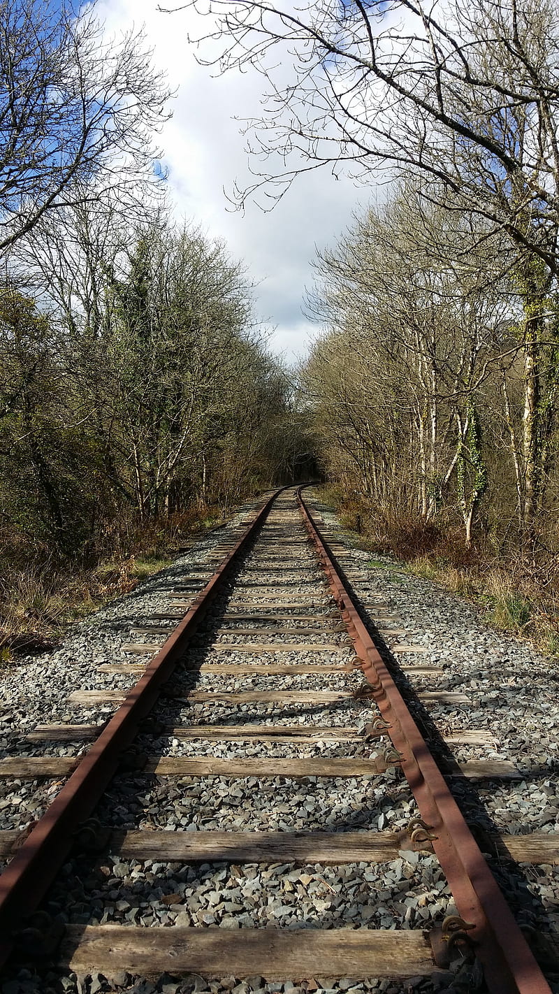 800x1422 Old railway, track, rusty, train, travel, HD phone wallpaper