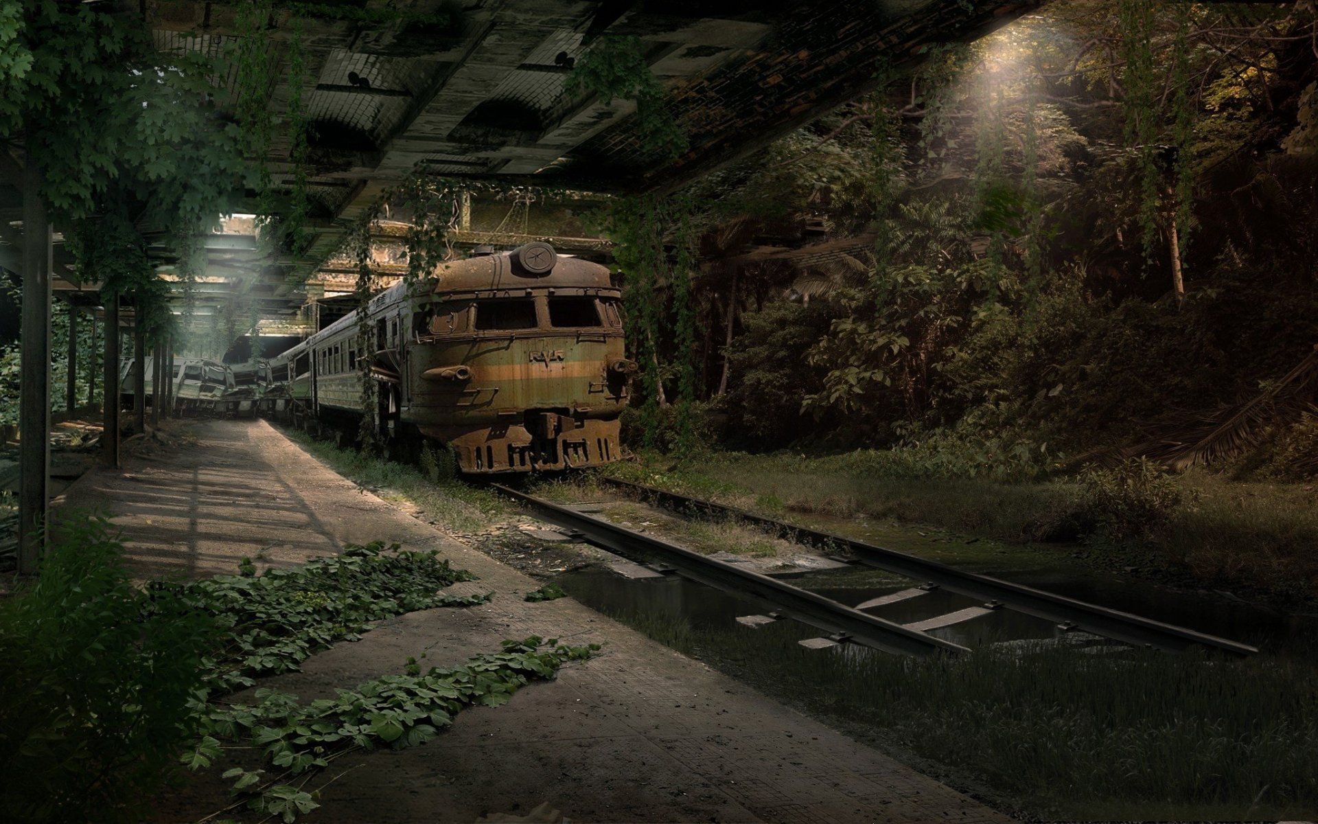 1920x1200 Abandoned Train Wreck in Overgrown Underground Station Wallpaperx1200