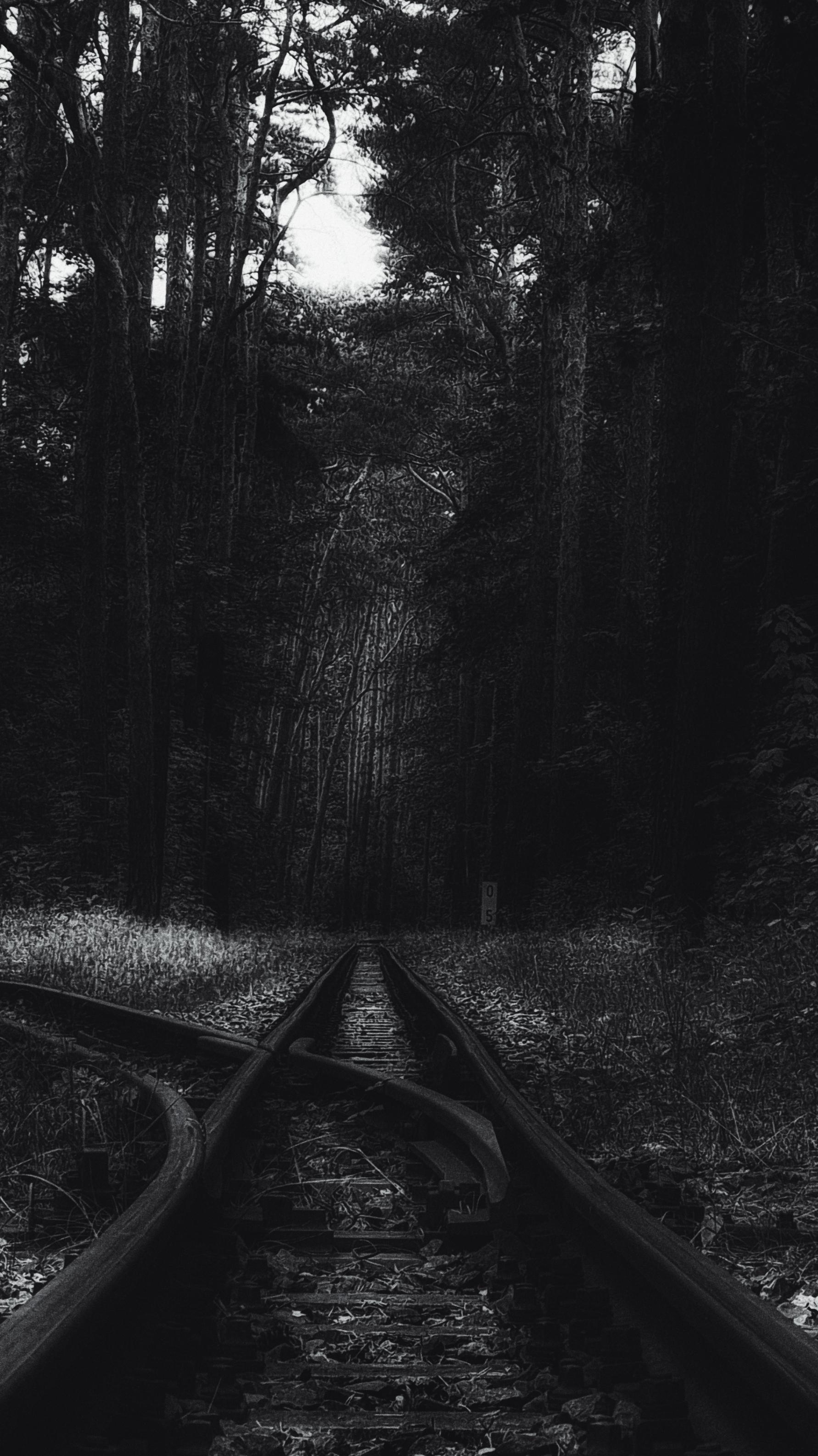 1782x3170 Abandoned Railway Tracks, Berlin