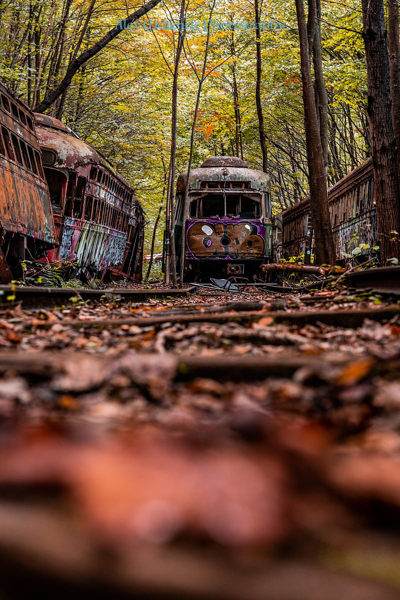 800x1199 Abandoned train, autumn, rain, HD phone wallpaper