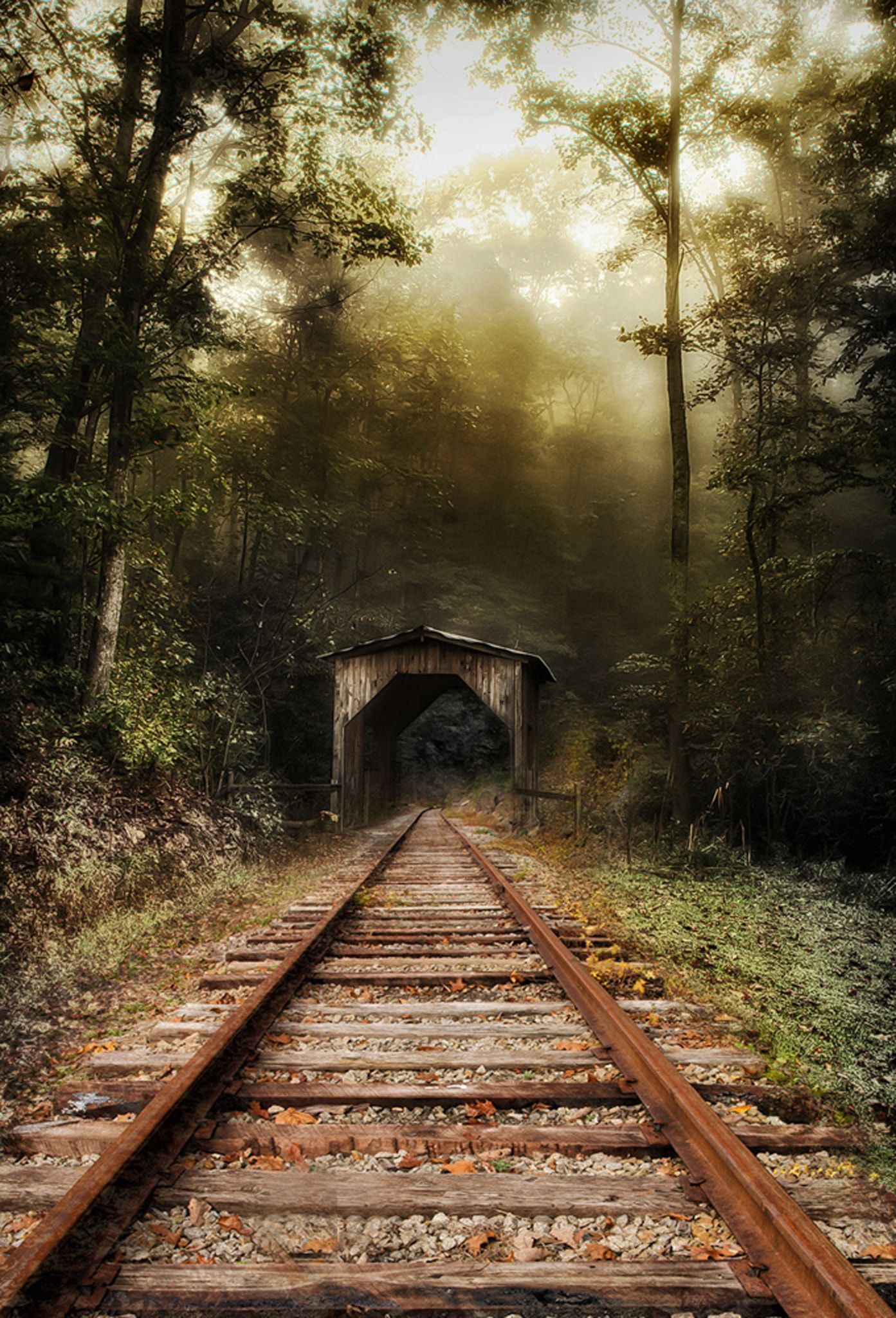 1393x2048 Trains etc ideas. abandoned train tracks background, abandoned tracks, old trains