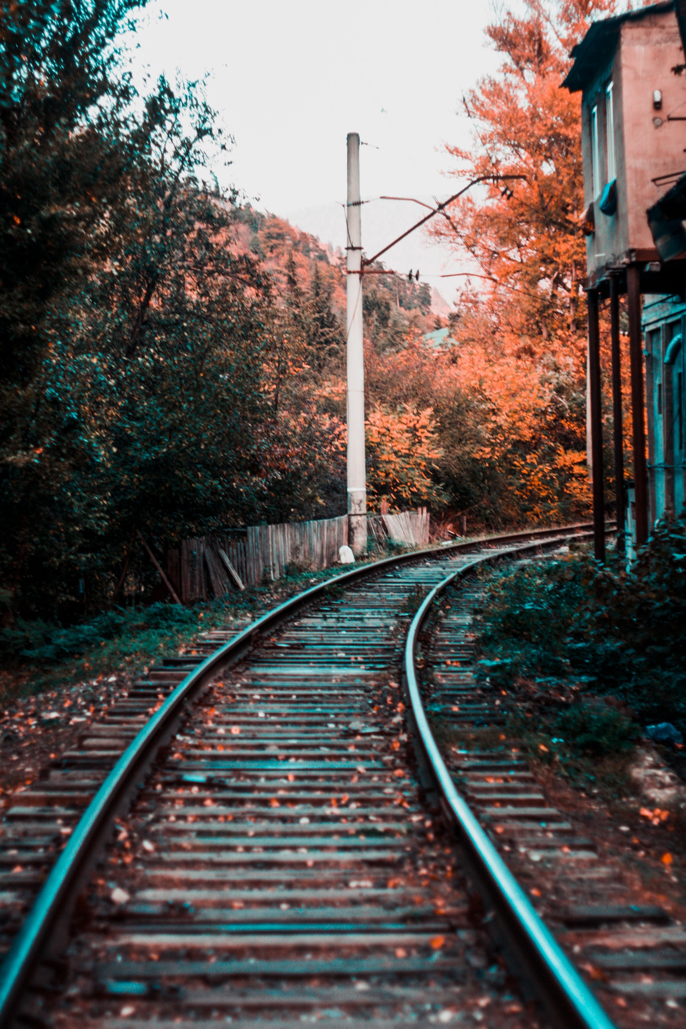 2765x4147 Wooden Tracks Photo, Download The BEST Free Wooden Tracks & HD Image