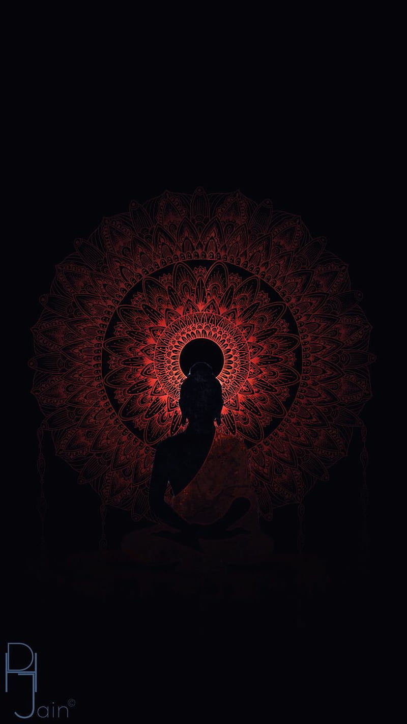 800x1422 HD black buddha wallpaper