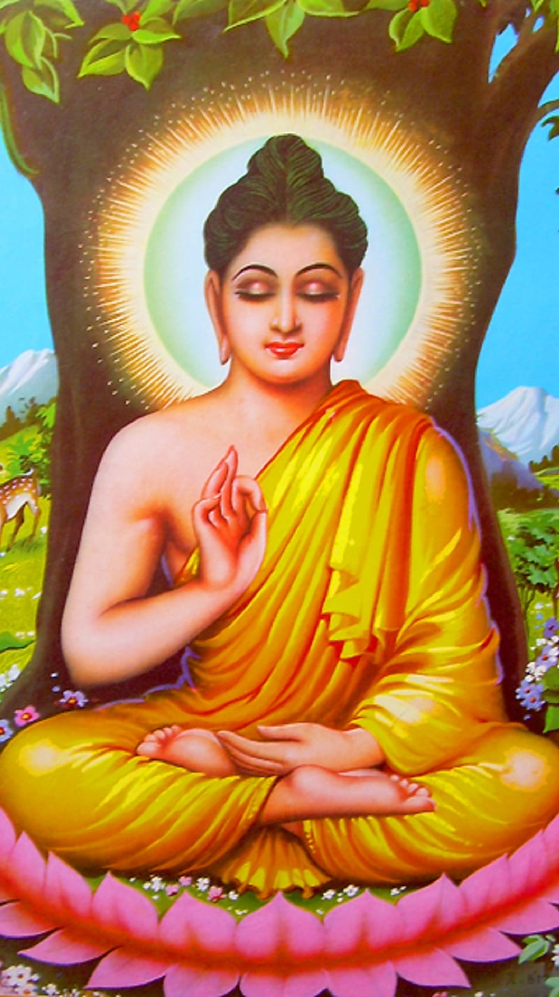800x1425 The Buddha, religion, HD phone wallpaper