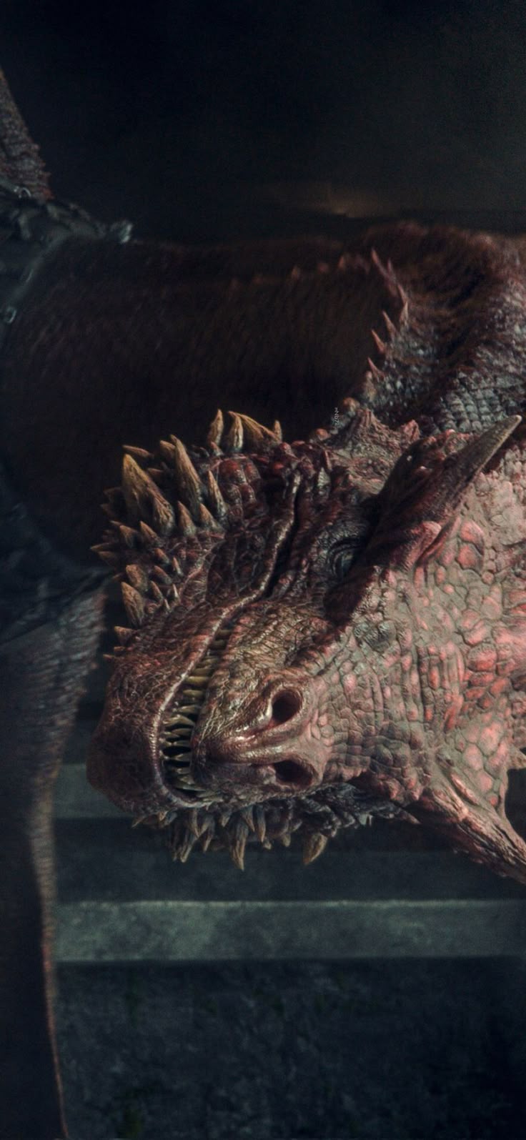 736x1595 house of the dragon