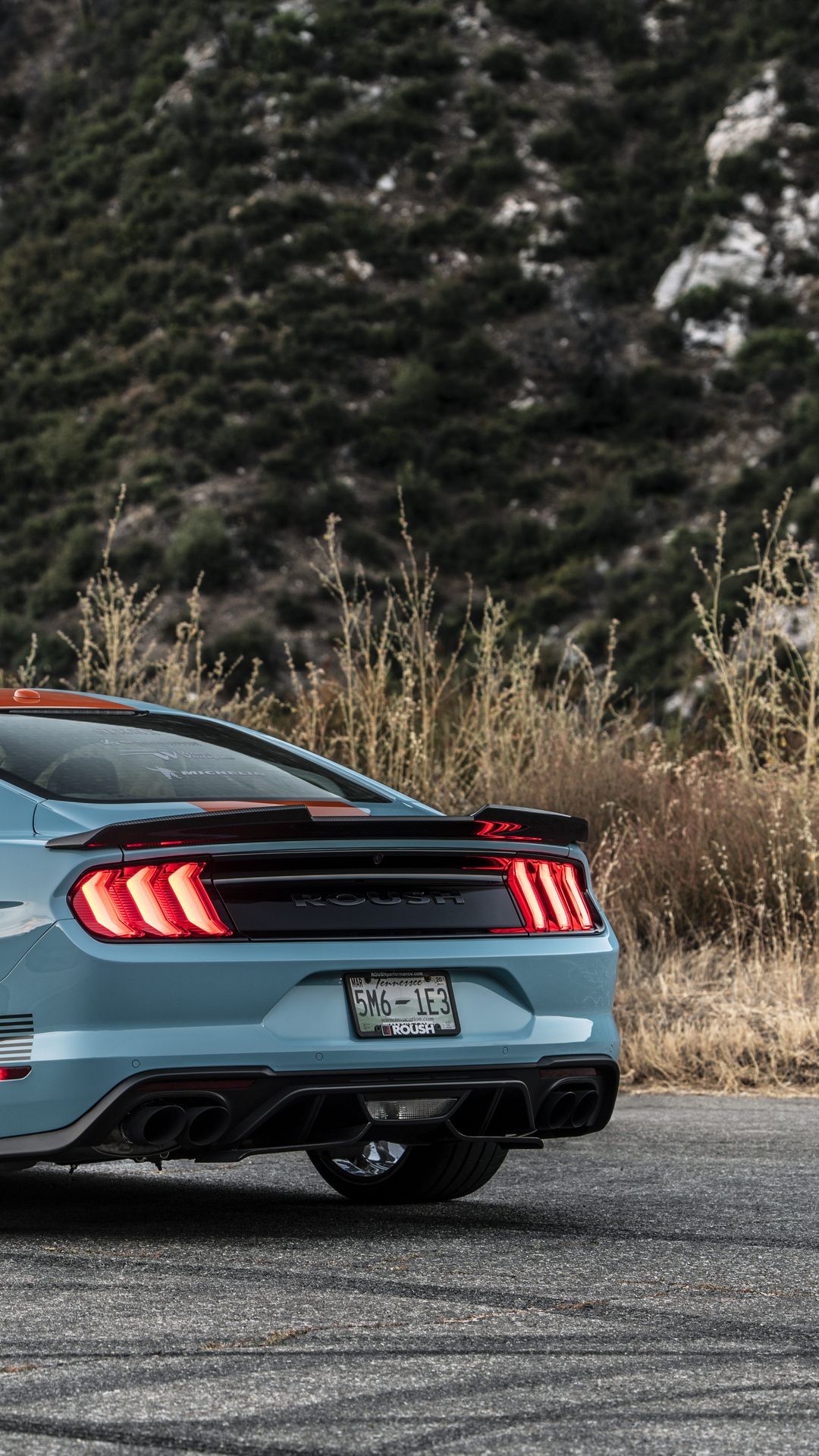 1080x1920 Roush Performance Stage 3 Mustang Gt Rear iPhone 6s, 6 Plus, Pixel xl , One Plus 3t, 5 , HD 4k Wallpaper, Image, Background, Photos and Picture