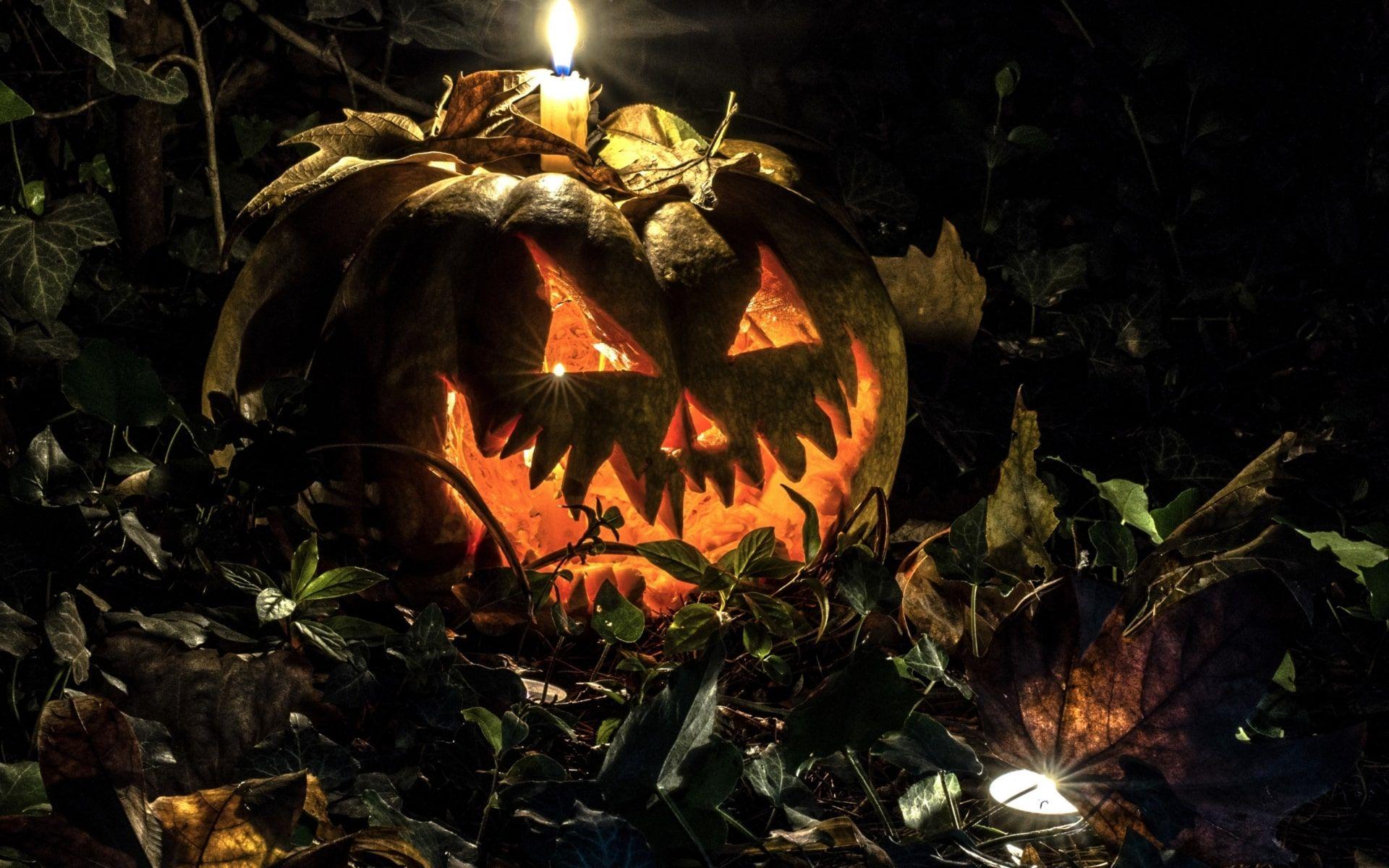 1920x1200 Scary Pumpkin Wallpaper Free HD Wallpaper