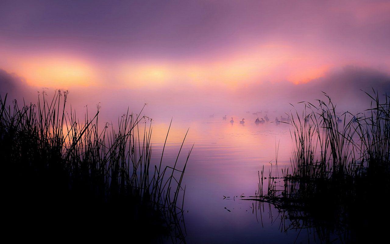1280x800 Nature Aesthetic Wallpaper