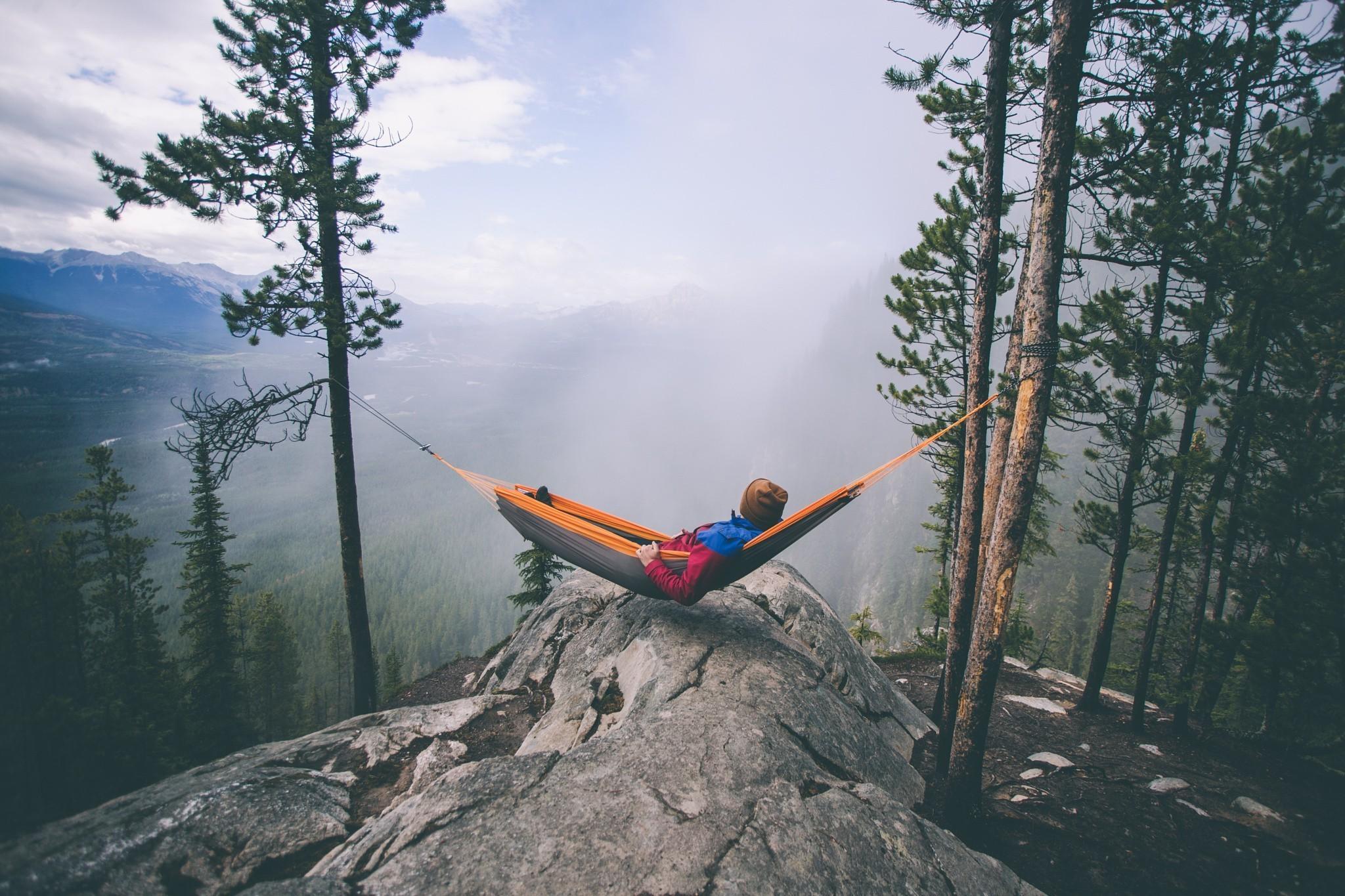 2048x1365 Relaxing Forest Wallpaper