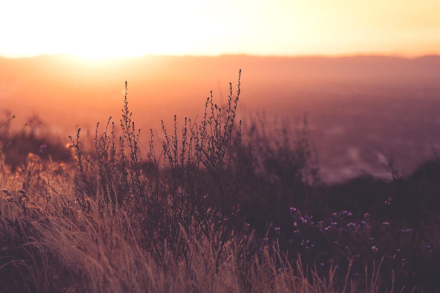 1730x1155 Relaxing Nature iPhone Xs Wallpaper