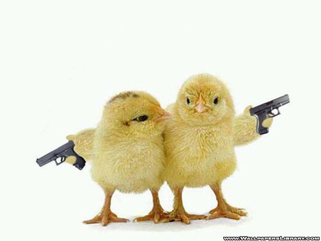 1024x768 Funny Animated Wallpaper