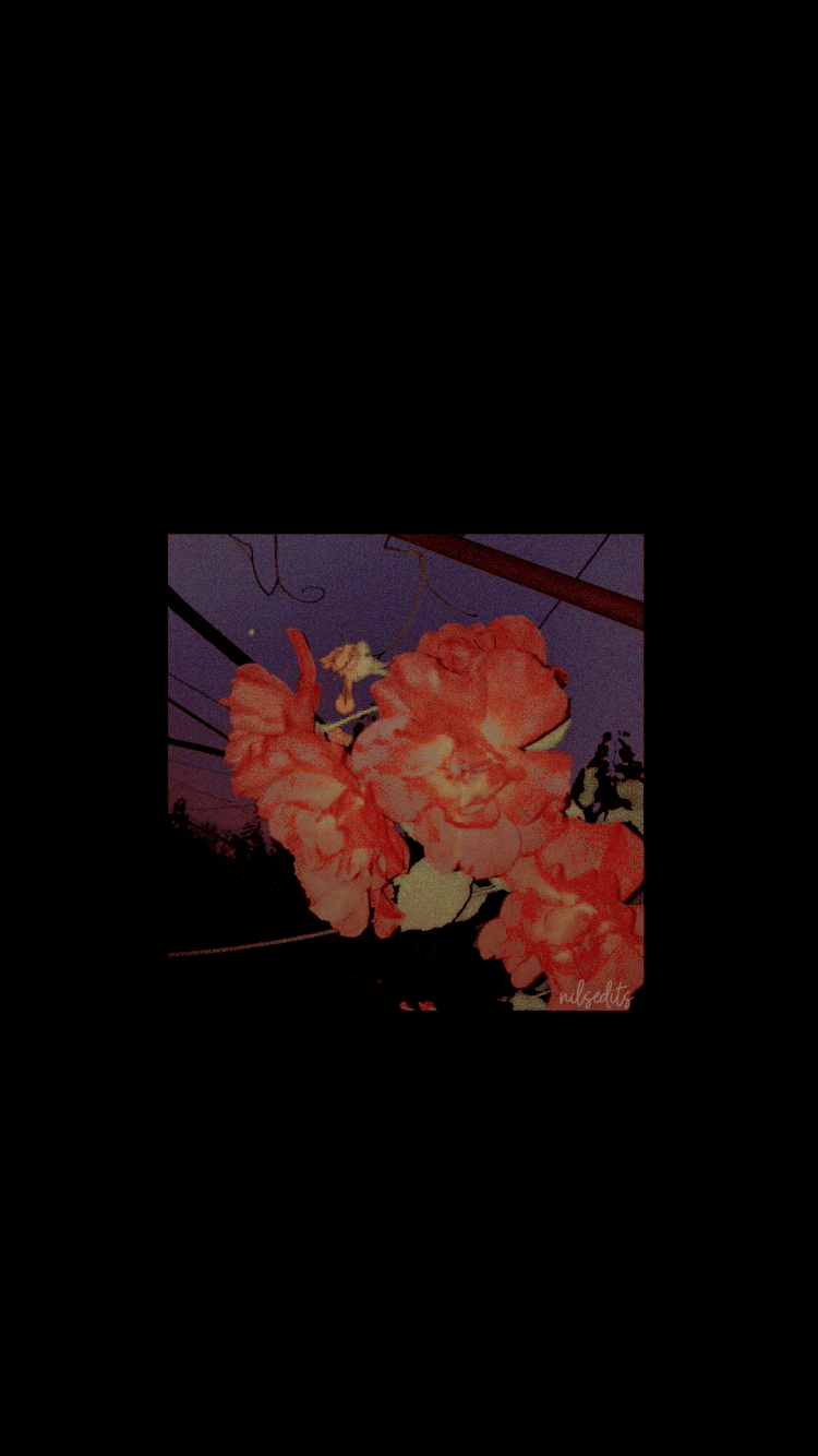 750x1334 Wallpaper ✨ //. Aesthetic iphone wallpaper, Black wallpaper iphone, iPhone wallpaper
