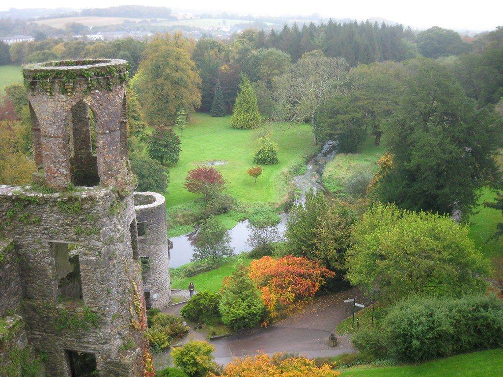 1024x768 Plants of Blarney Castle. By Amanda Bond Cork, Ireland Thi