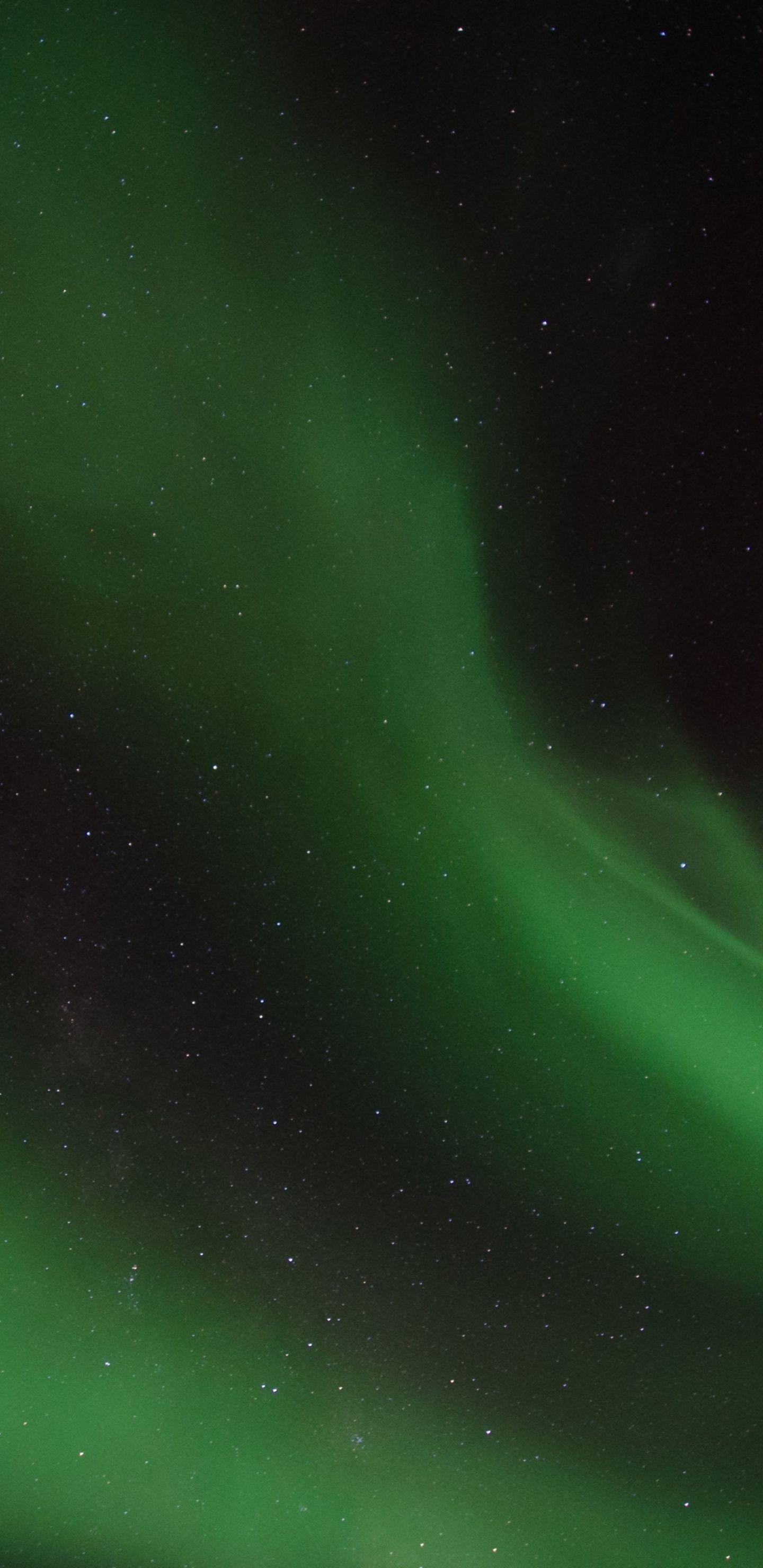 1440x2960 Green lights, Aurora, sky wallpaper. Dark green aesthetic, Orange wallpaper, Cool wallpaper for phones