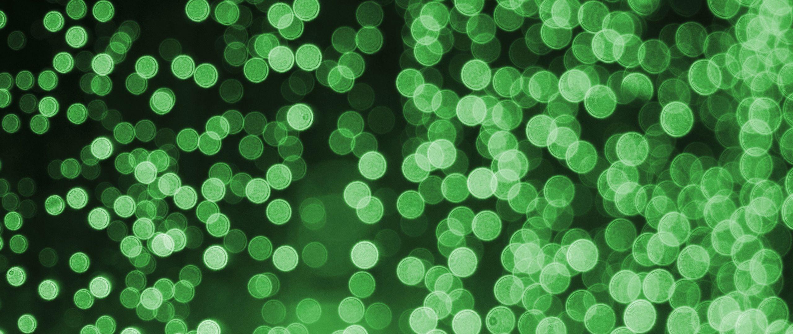 Green Lights Wallpapers - Top Free Green Lights Backgrounds