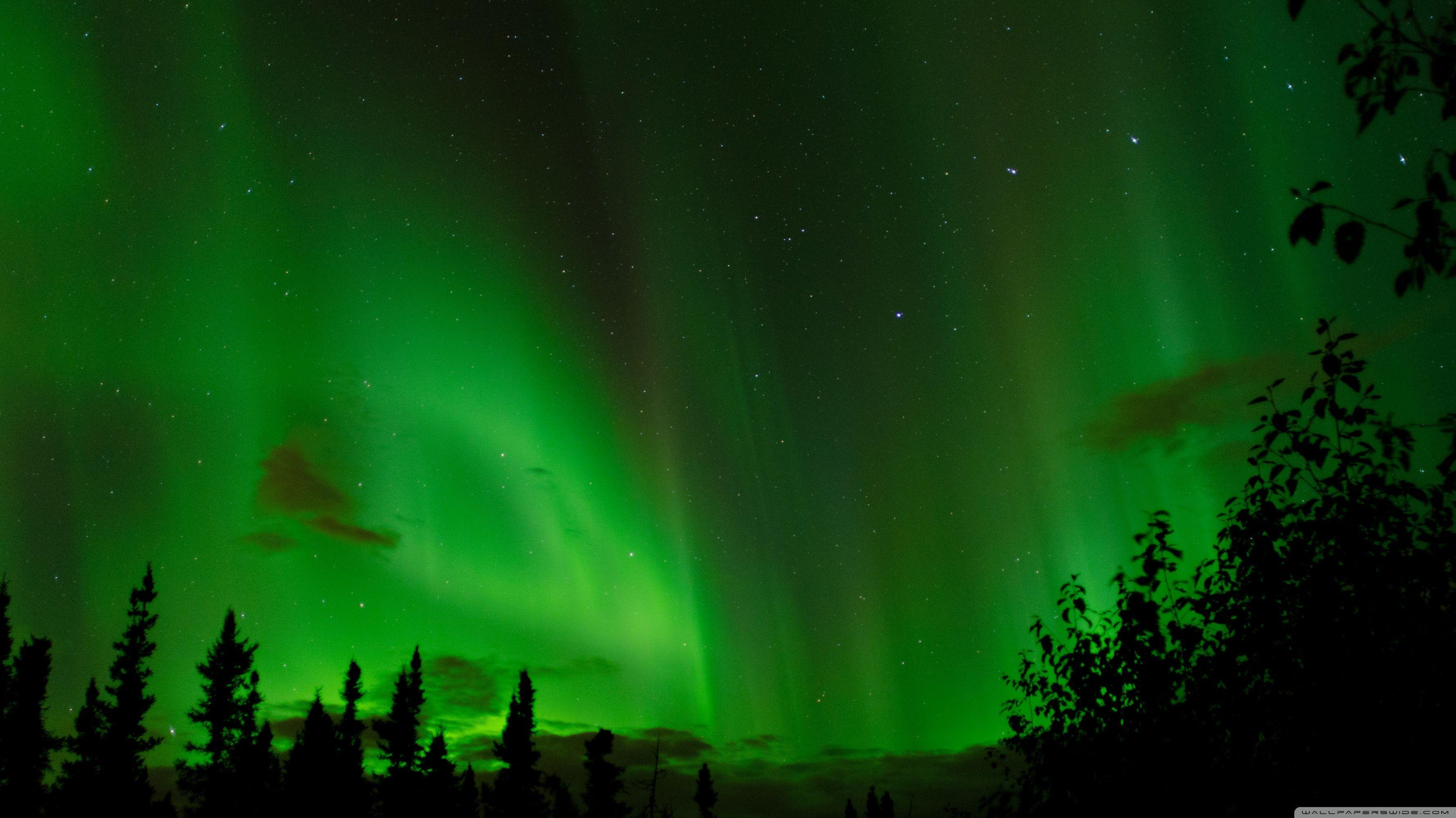 3554x1999 Northern Lights 4k Wallpaper