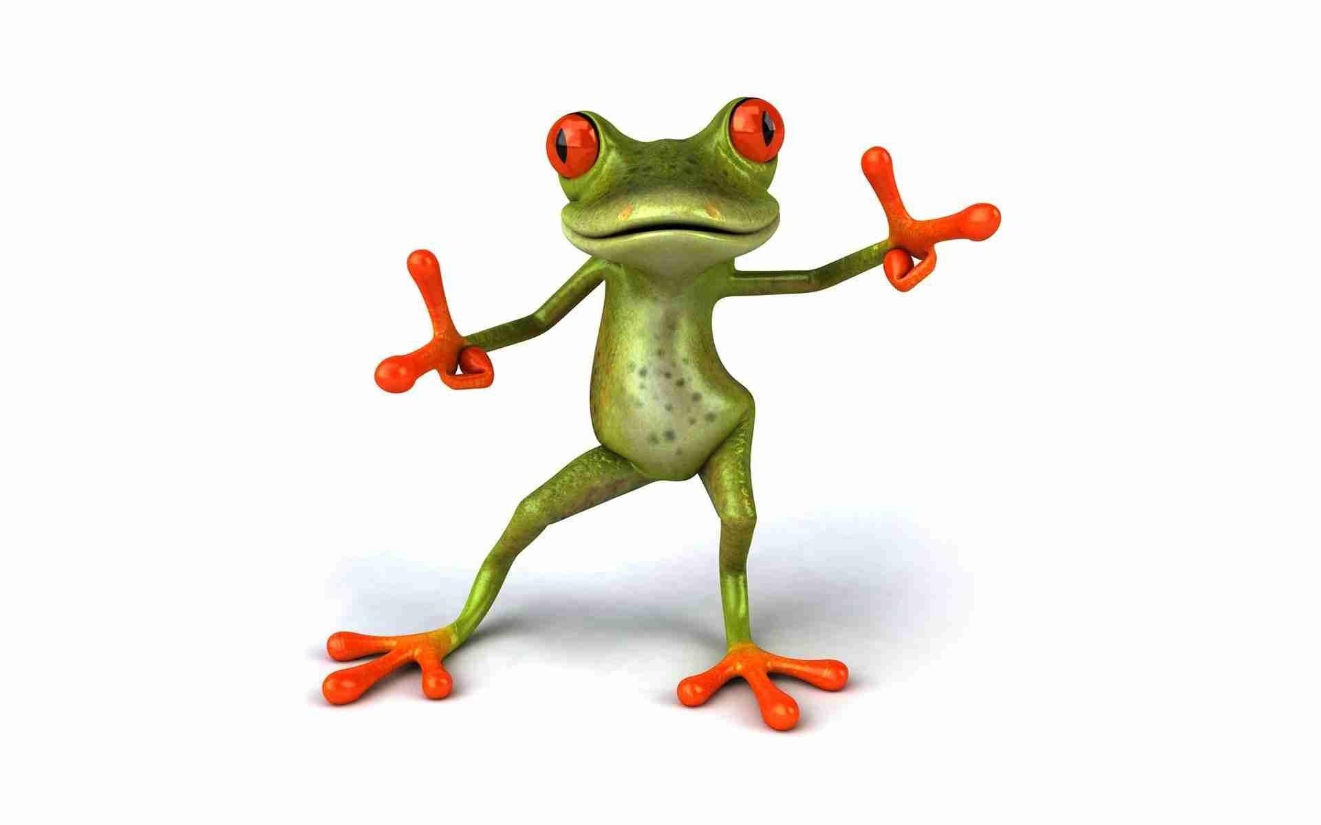 1920x1200 wallpaper, Funny Frog Wallpaper HD wallpaper, background desktop. Frog wallpaper, Funny frogs, Cute frogs