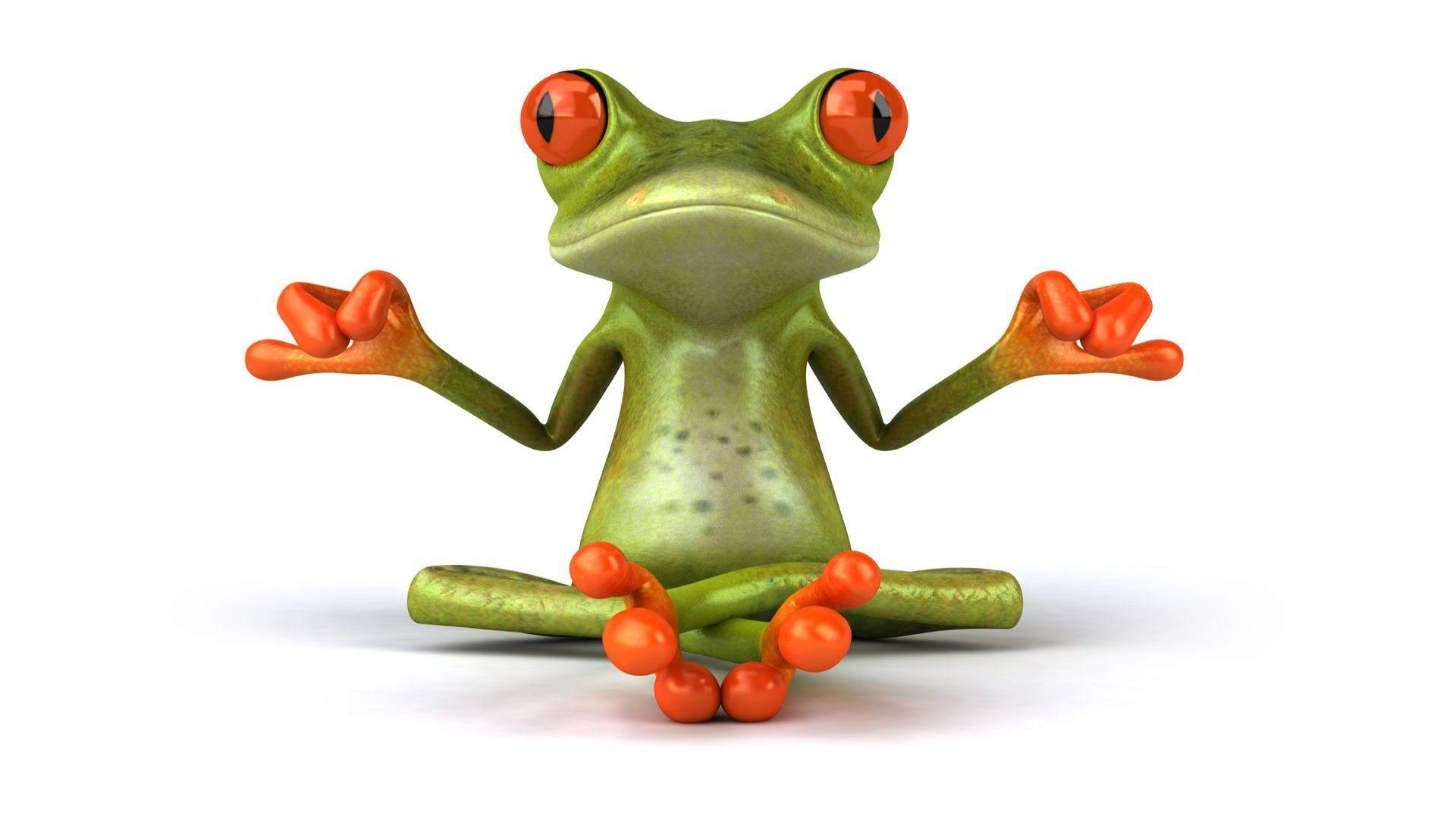 1920x1080 Cool Frog wallpaperx1080