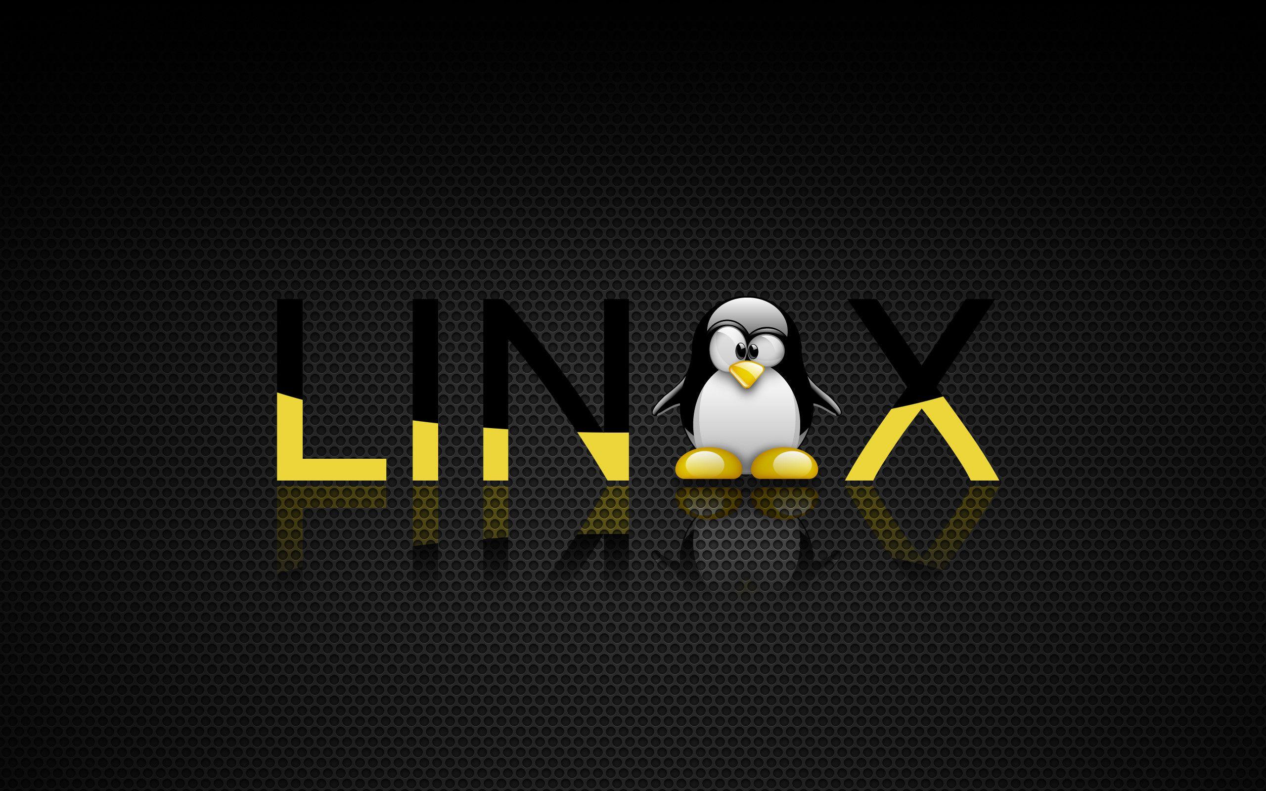 2560x1600 Tux Wallpaper