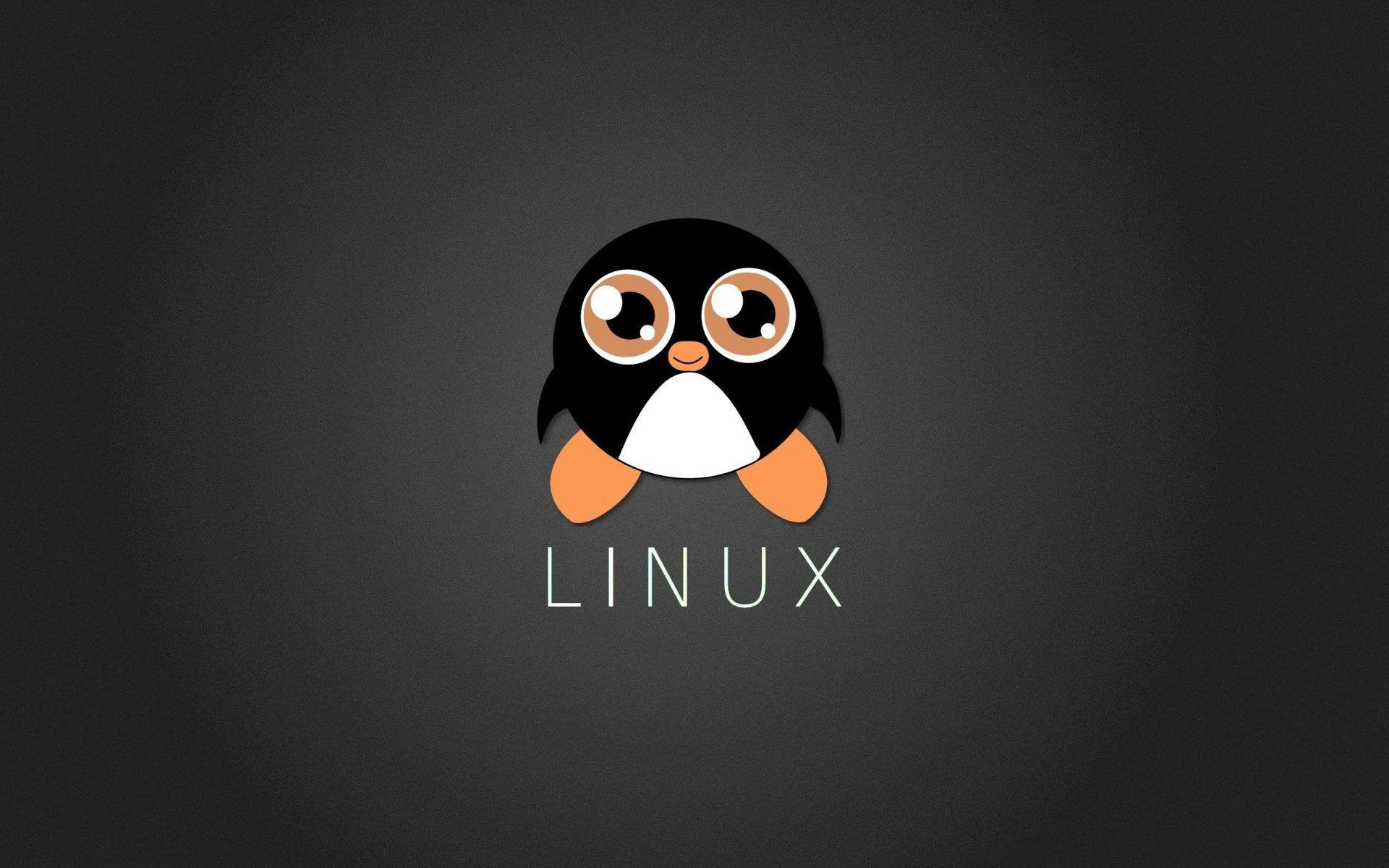1920x1200 Tux Wallpaper /tux Wallpaper #Wallpaper HD Wallpaper Download. Minimalist Wallpaper, Linux, Snowman Wallpaper