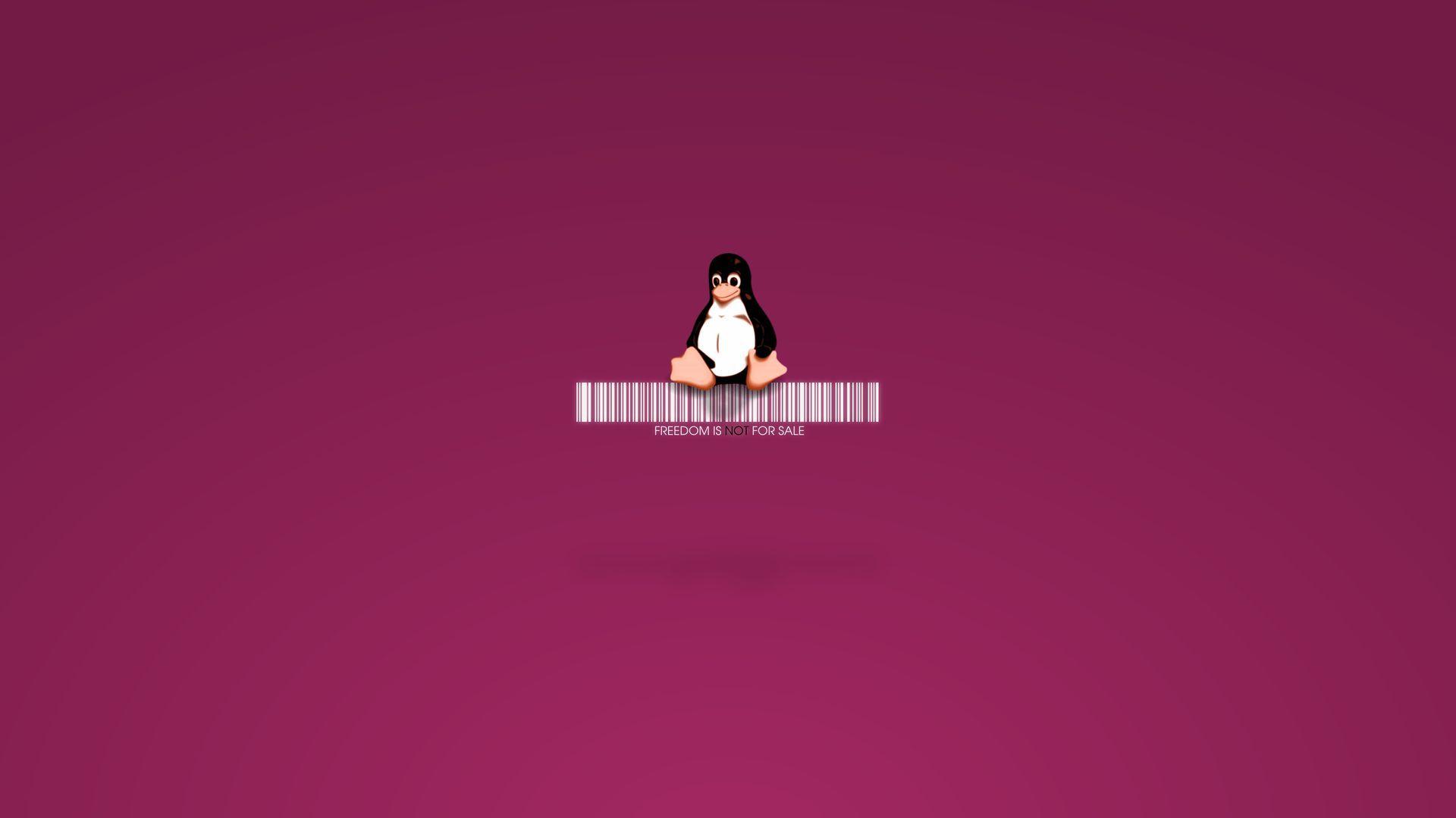 1920x1080 Freedom Linux Tux HD Wallpaper