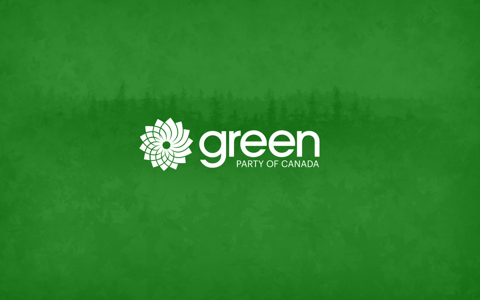 1680x1050 Meet the Green party leadership candidates