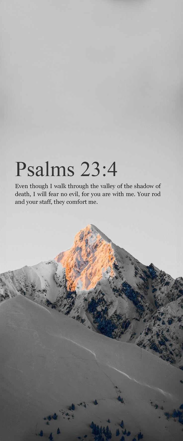 736x1770 Psalm 23:4