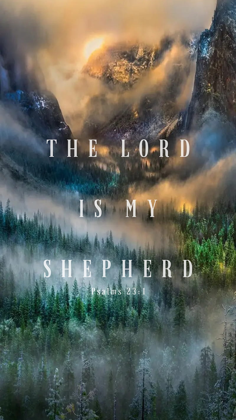 800x1422 Psalm christian, clouds, courage, god, jesus, nature, shepherd, trust, valley, HD phone wallpaper