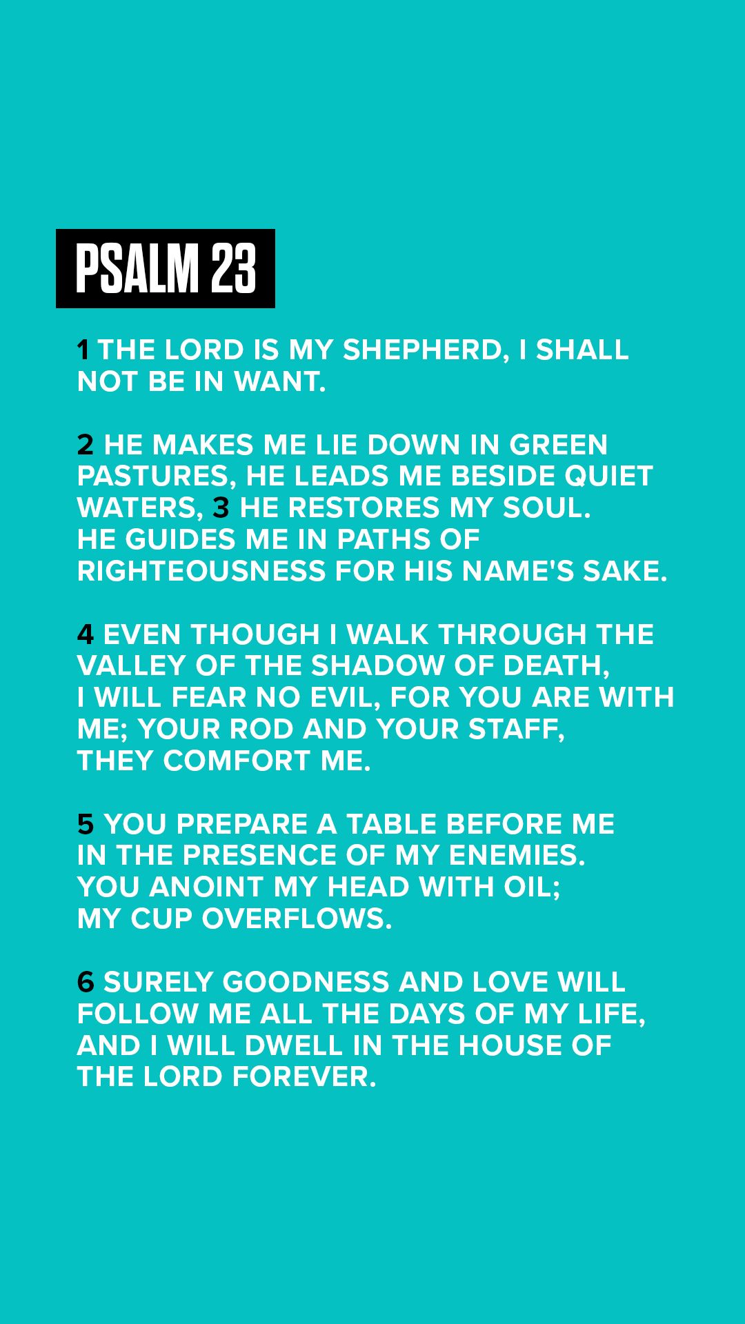 1080x1920 Psalm 23 Phone Wallpaper+