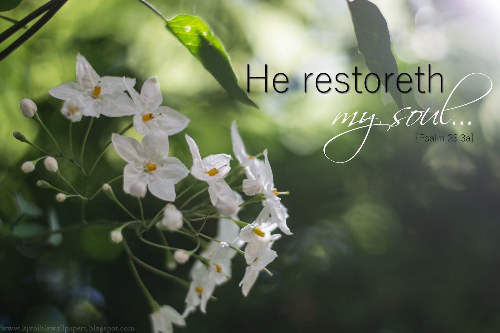 1600x1066 KJV Bible Wallpaper: He Restoreth My Soul. Psalm 23:3